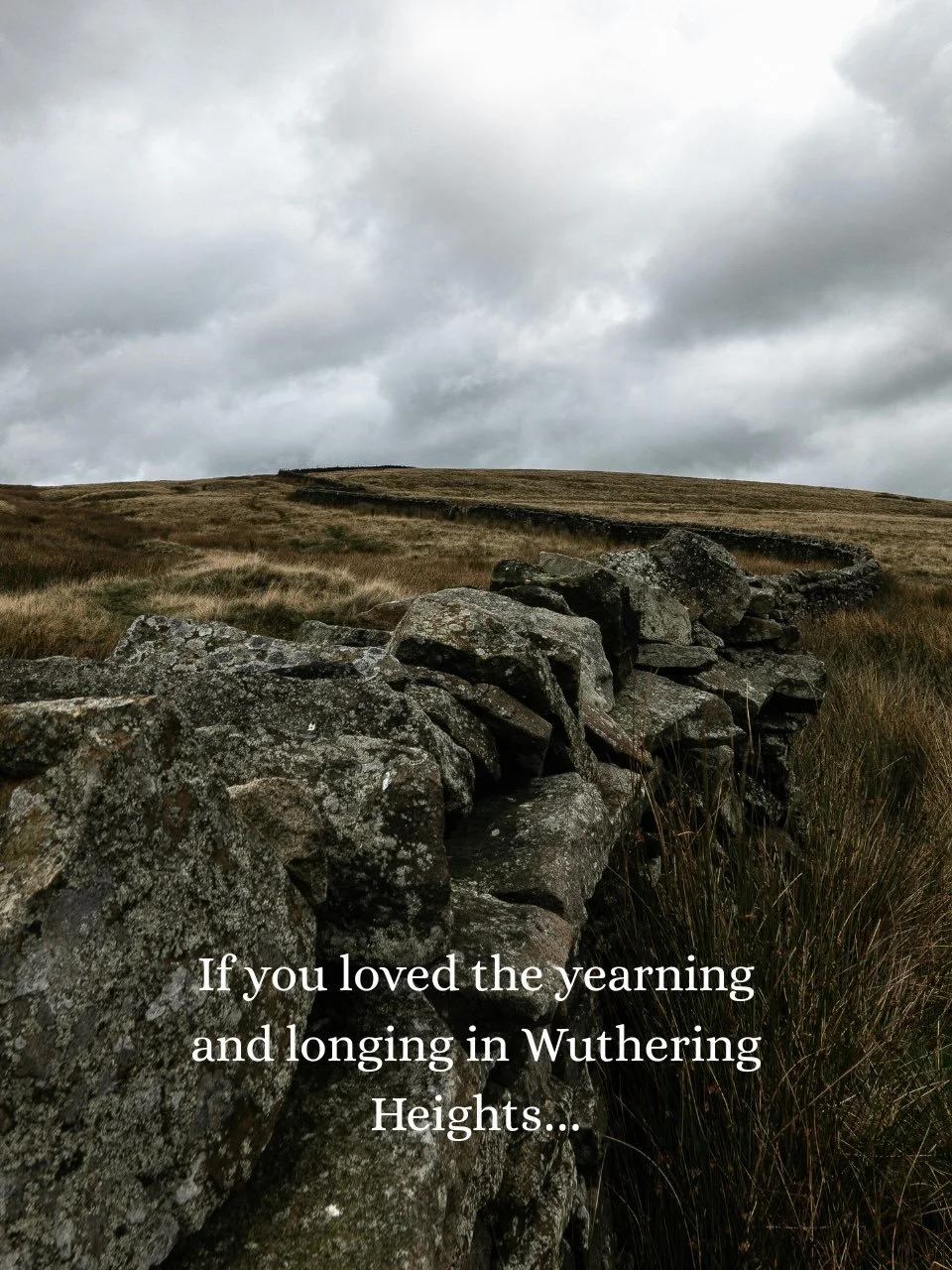 For the girls who romanticise emotional devastation.
The Pet.

#YearningCore #GothicVibes #RomanceBooks #BookTok #Bookstagram

Wuthering Heights | Paranormal Romance | Vampire Romance | Bookstagram