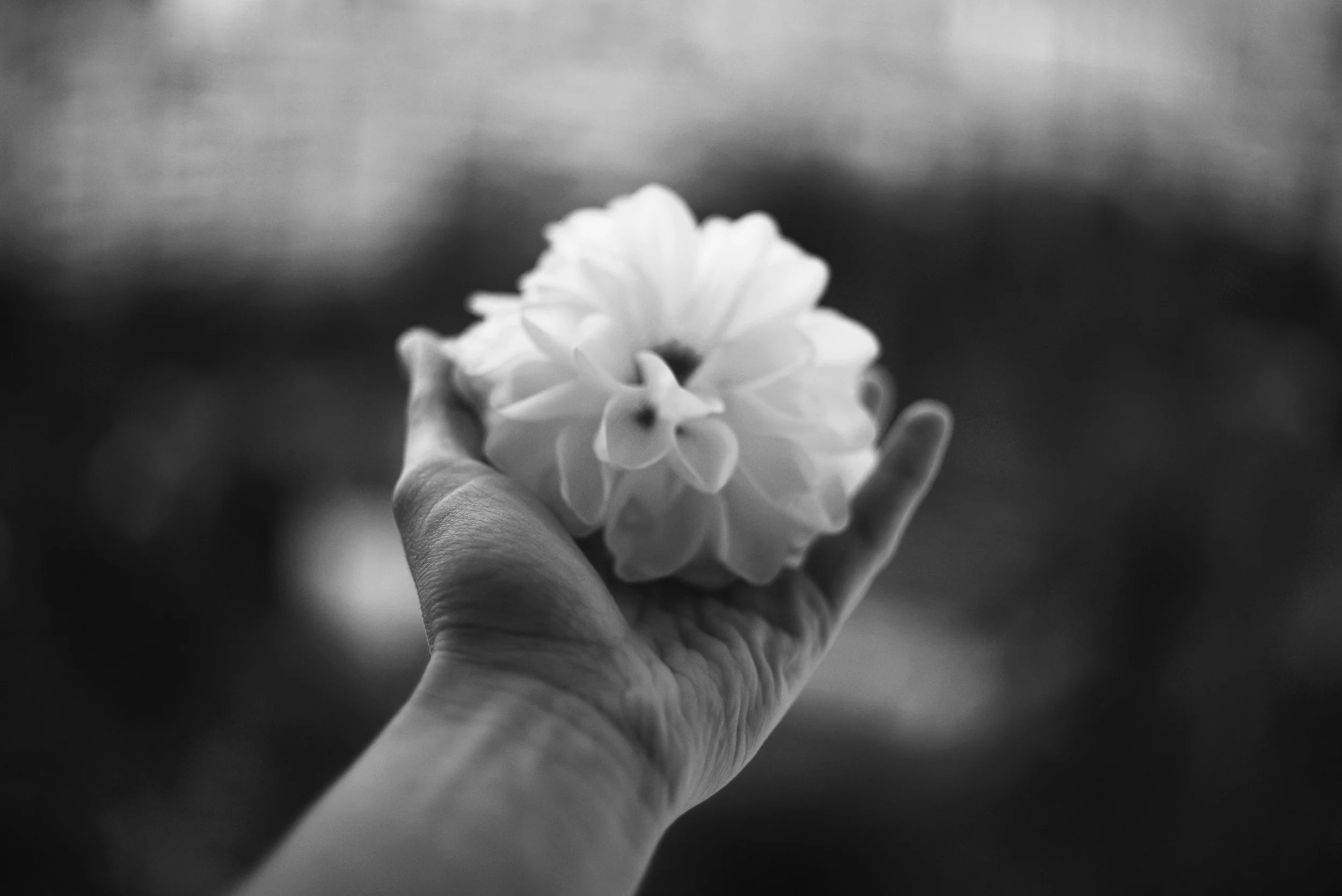 Gentle gifting of meditation in The Cotswolds and surrounding areas