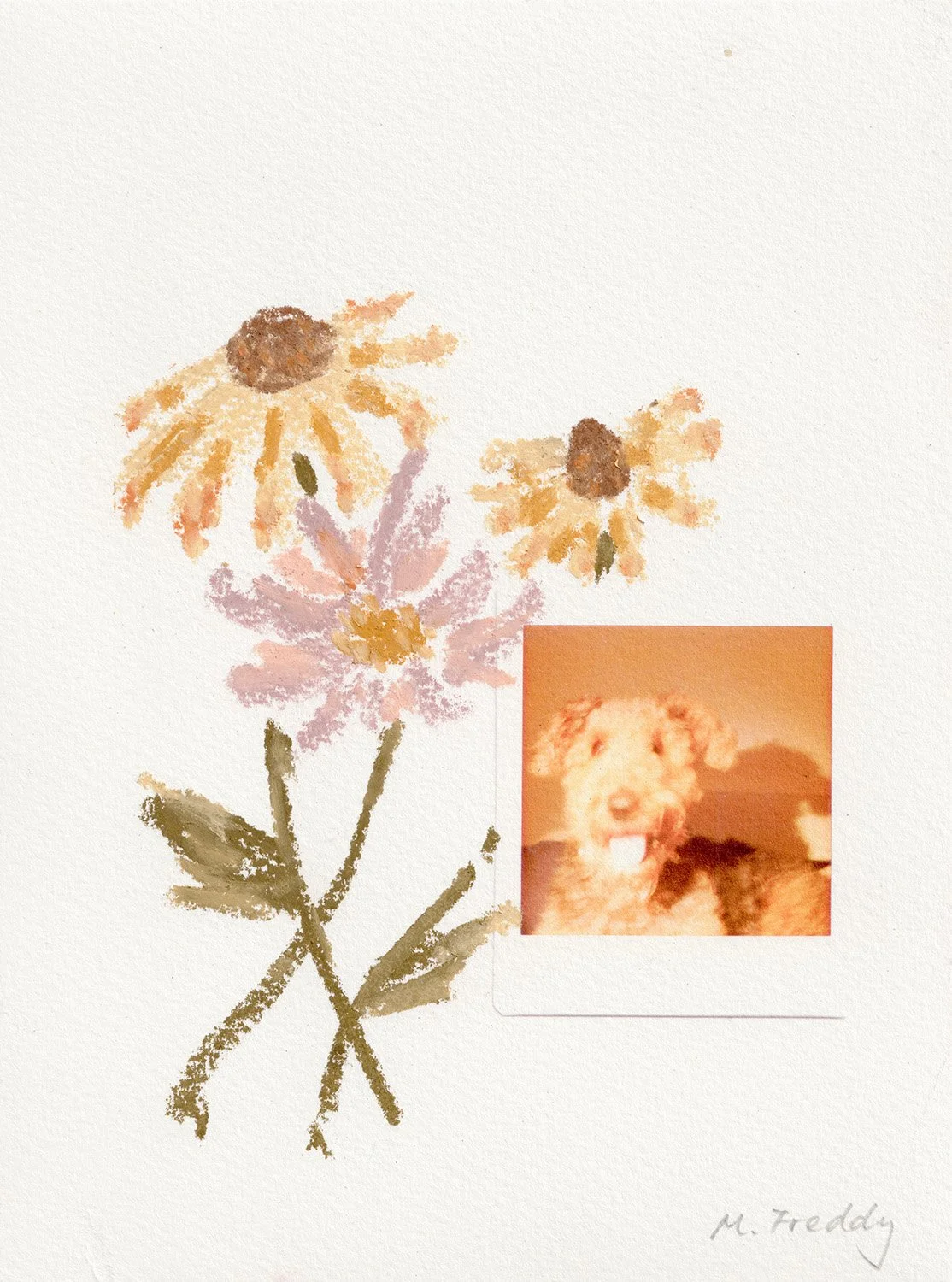 Stop and smell the flowers kind of boy