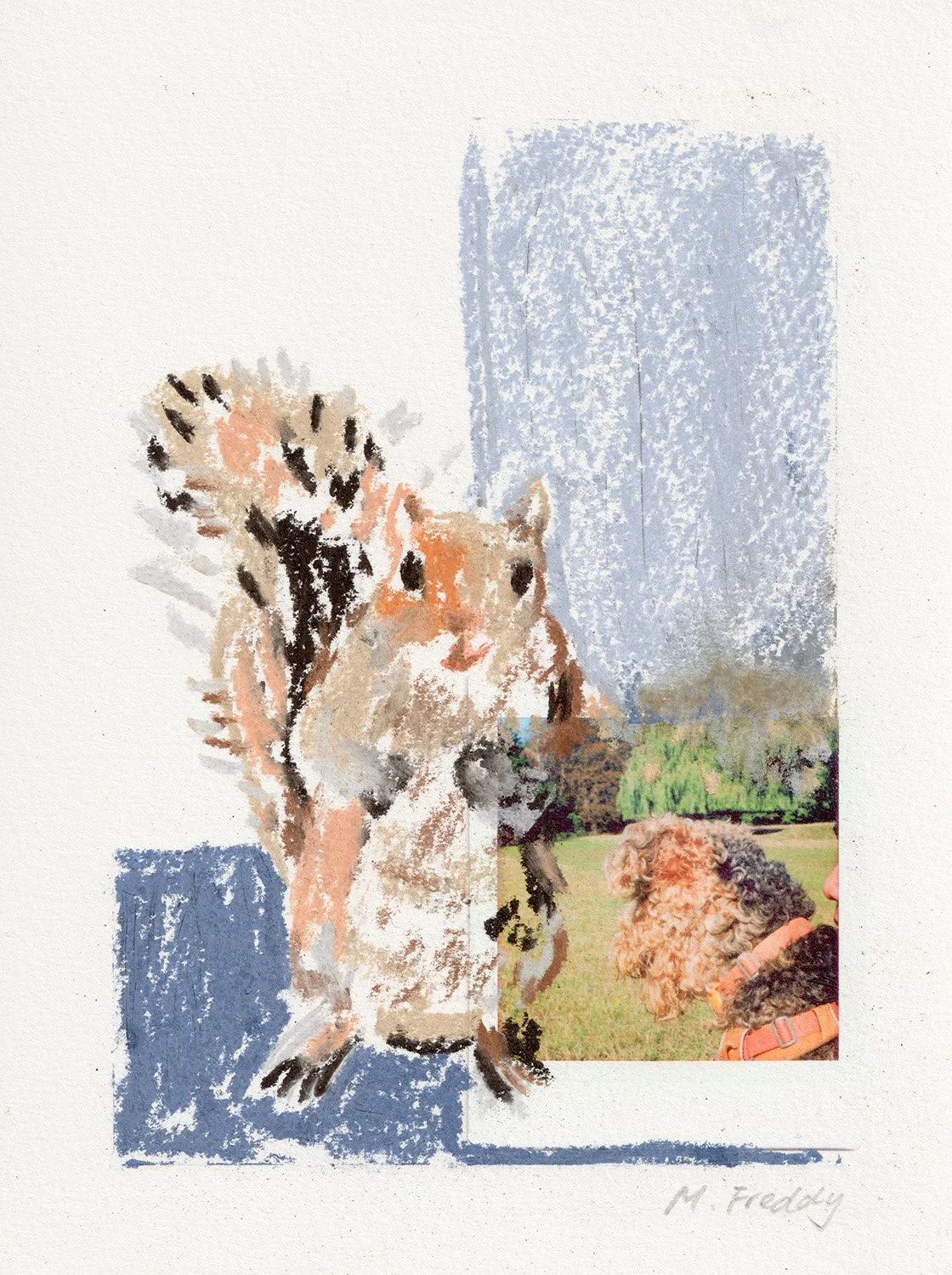 Squirrels!