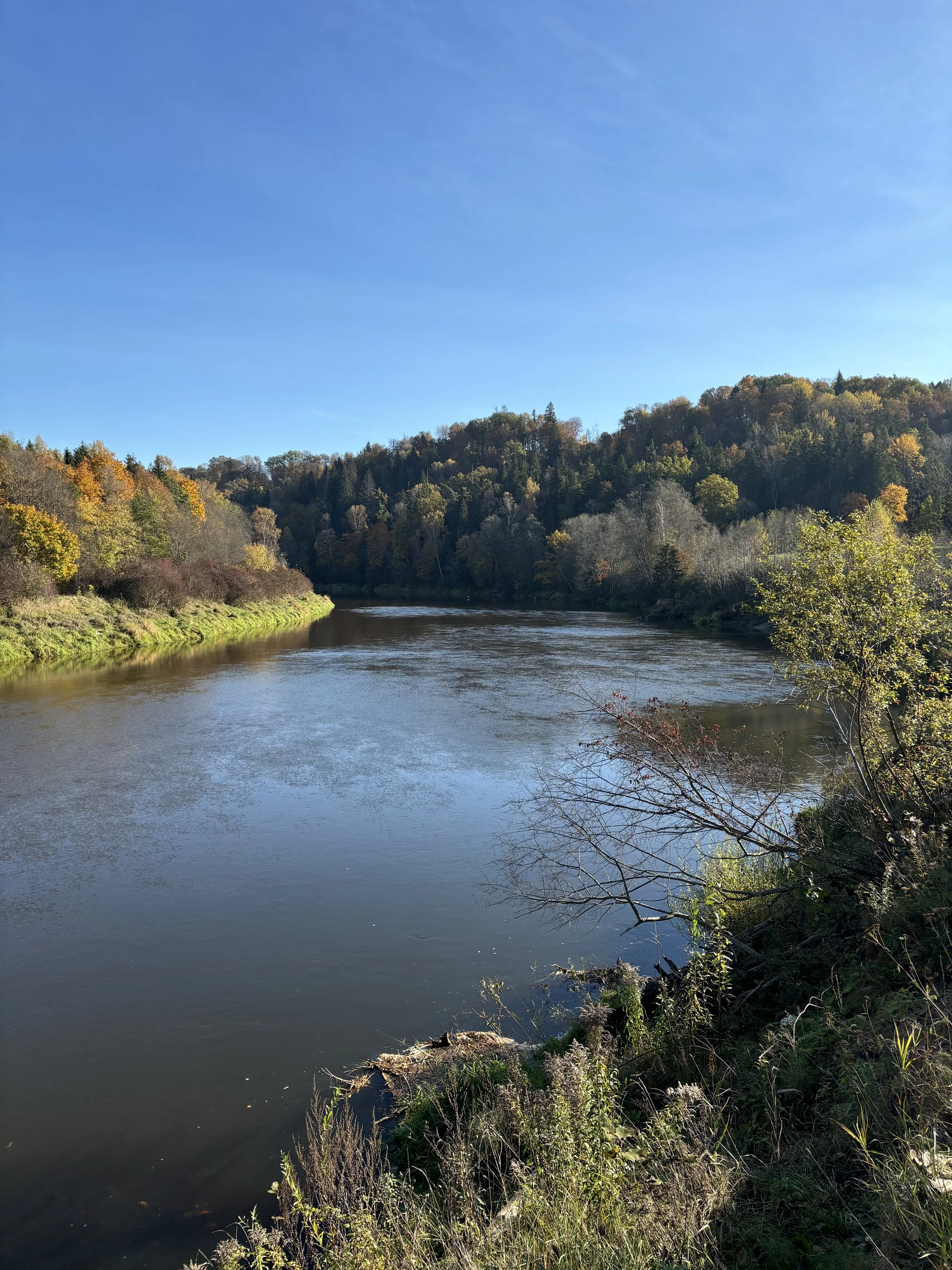 Gauja River winding through the valley near Sigulda, Latvia