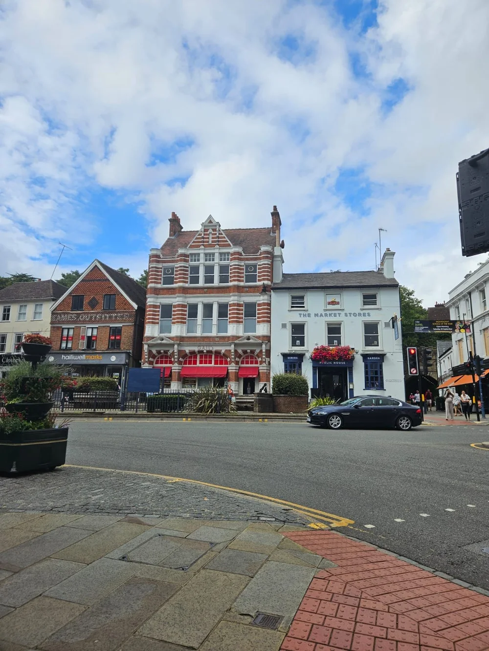 Reigate and Redhill with mature trees and green spaces