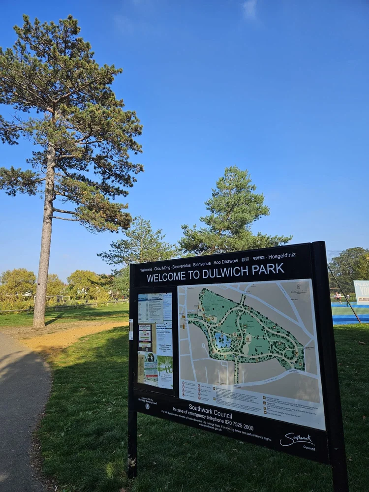 Street trees and residential setting in Forest Hill and Dulwich