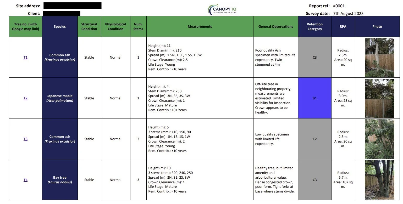 Tree survey schedule example