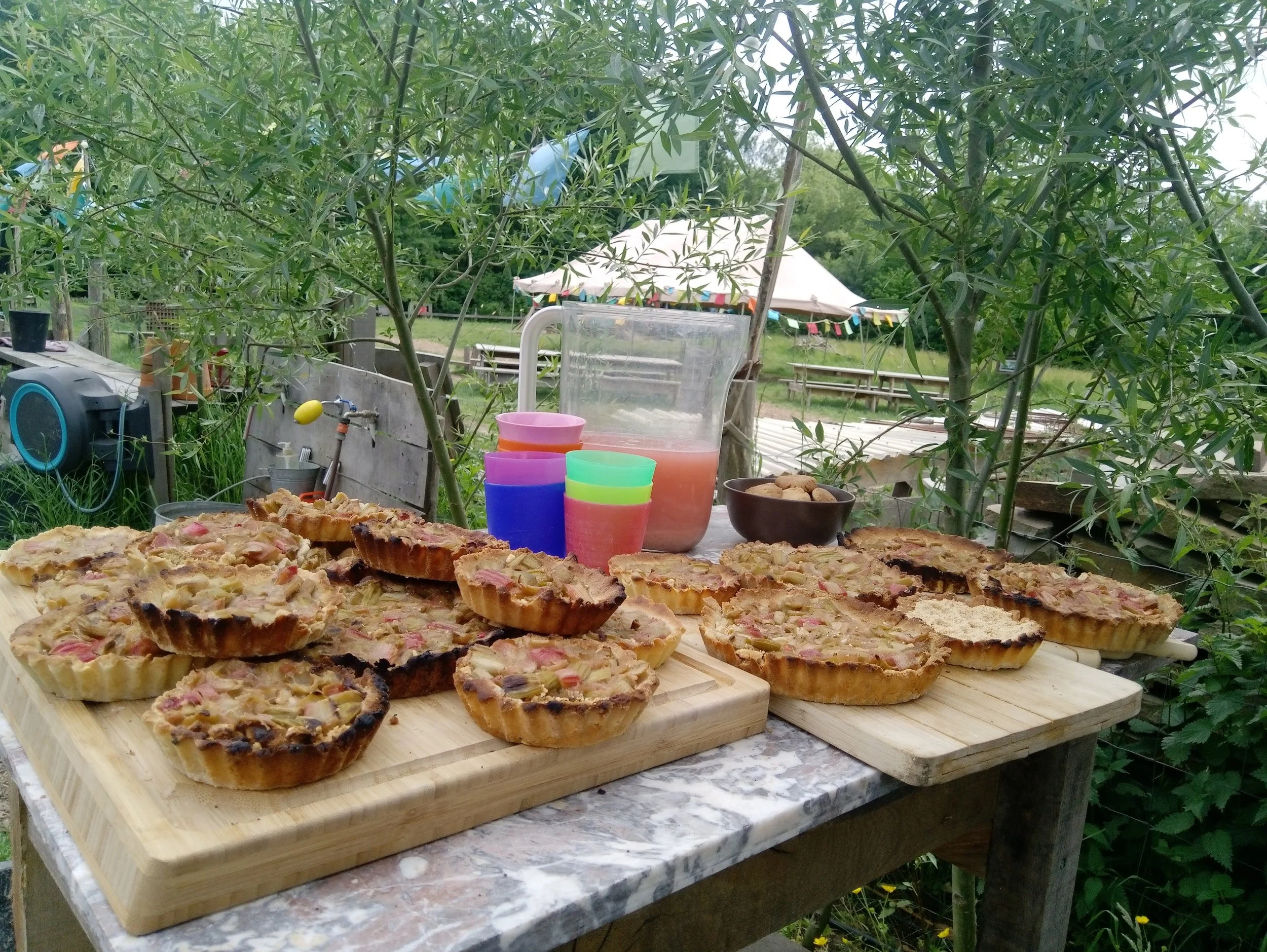 IMG_20220516_152614.jpg