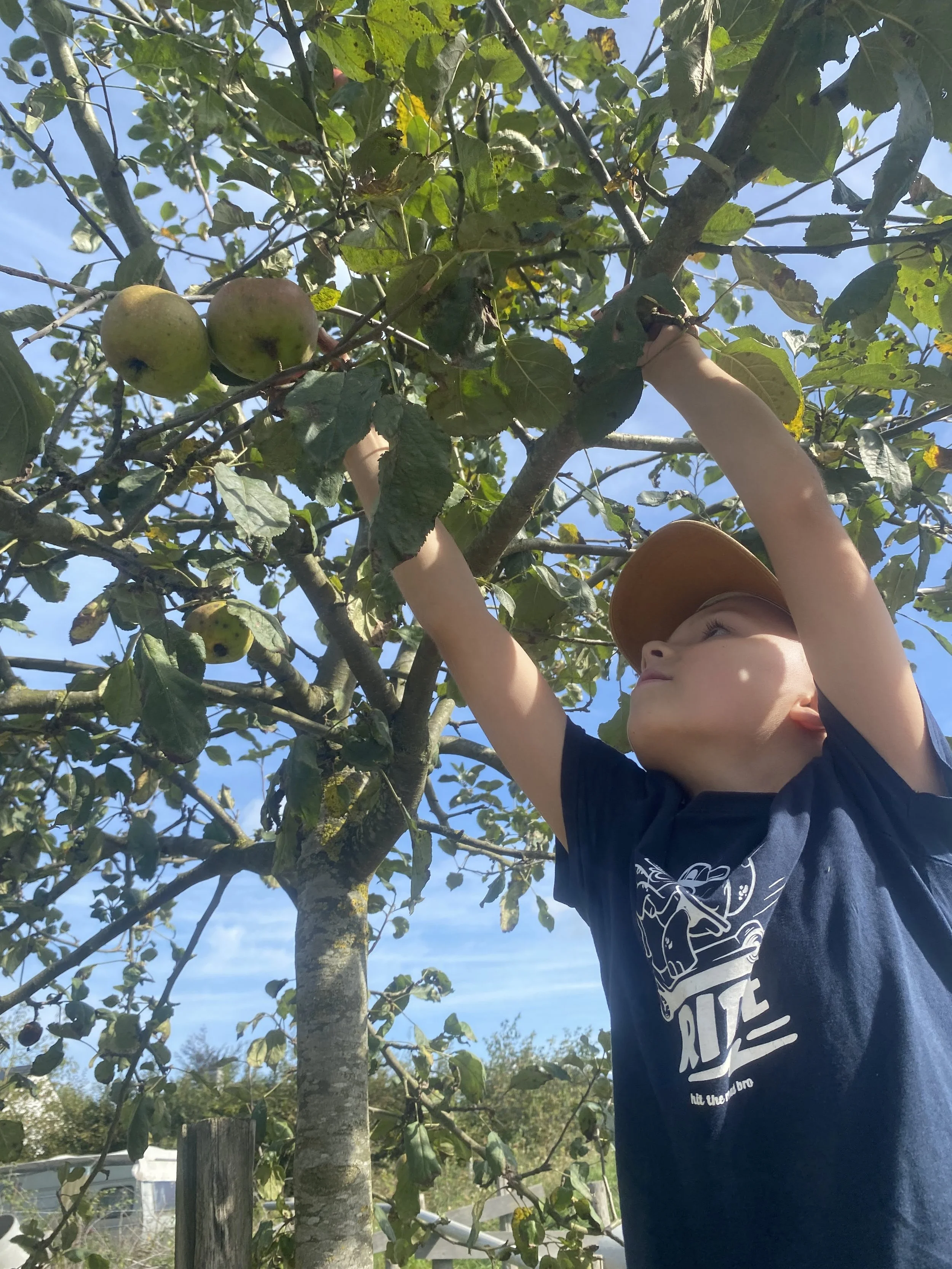 IMG_3861.JPG