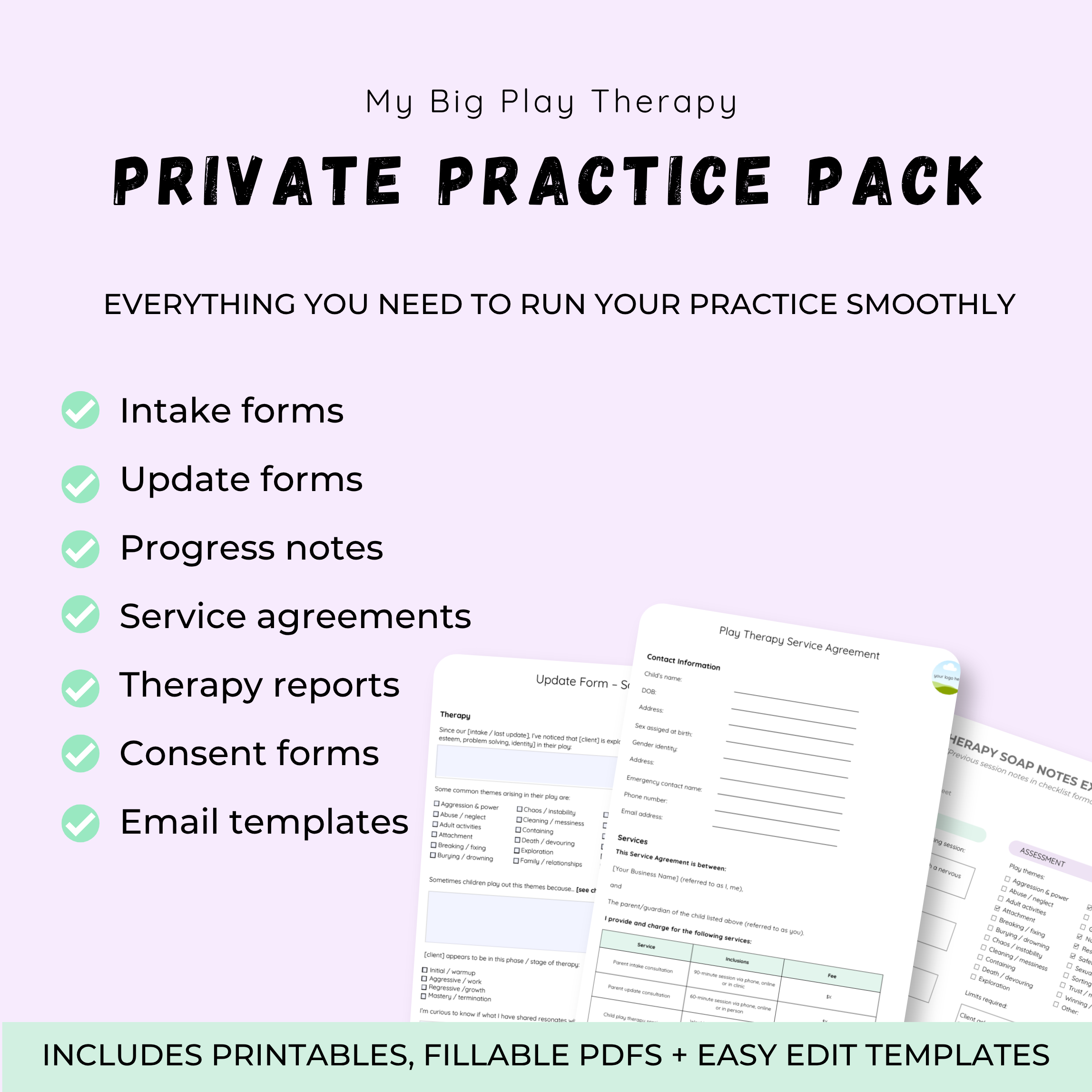 My Big Play Therapy Private Practice Pack.png