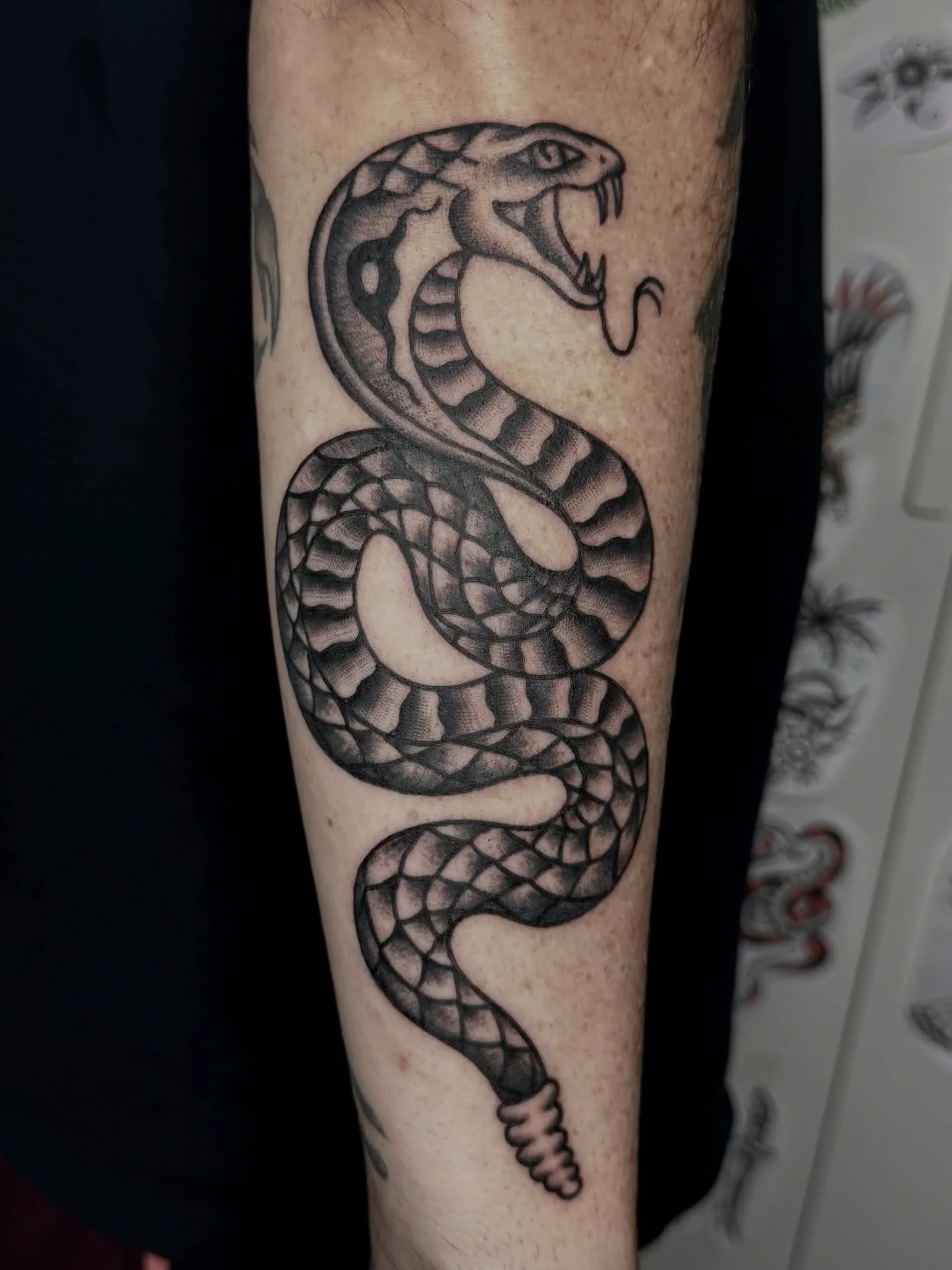Bookings leading up to Christmas are filling up. DM if you would like a spot 

Custom snake made today for Richard, looking forward to adding more soon 🐍

#sunshinecoasttattoo