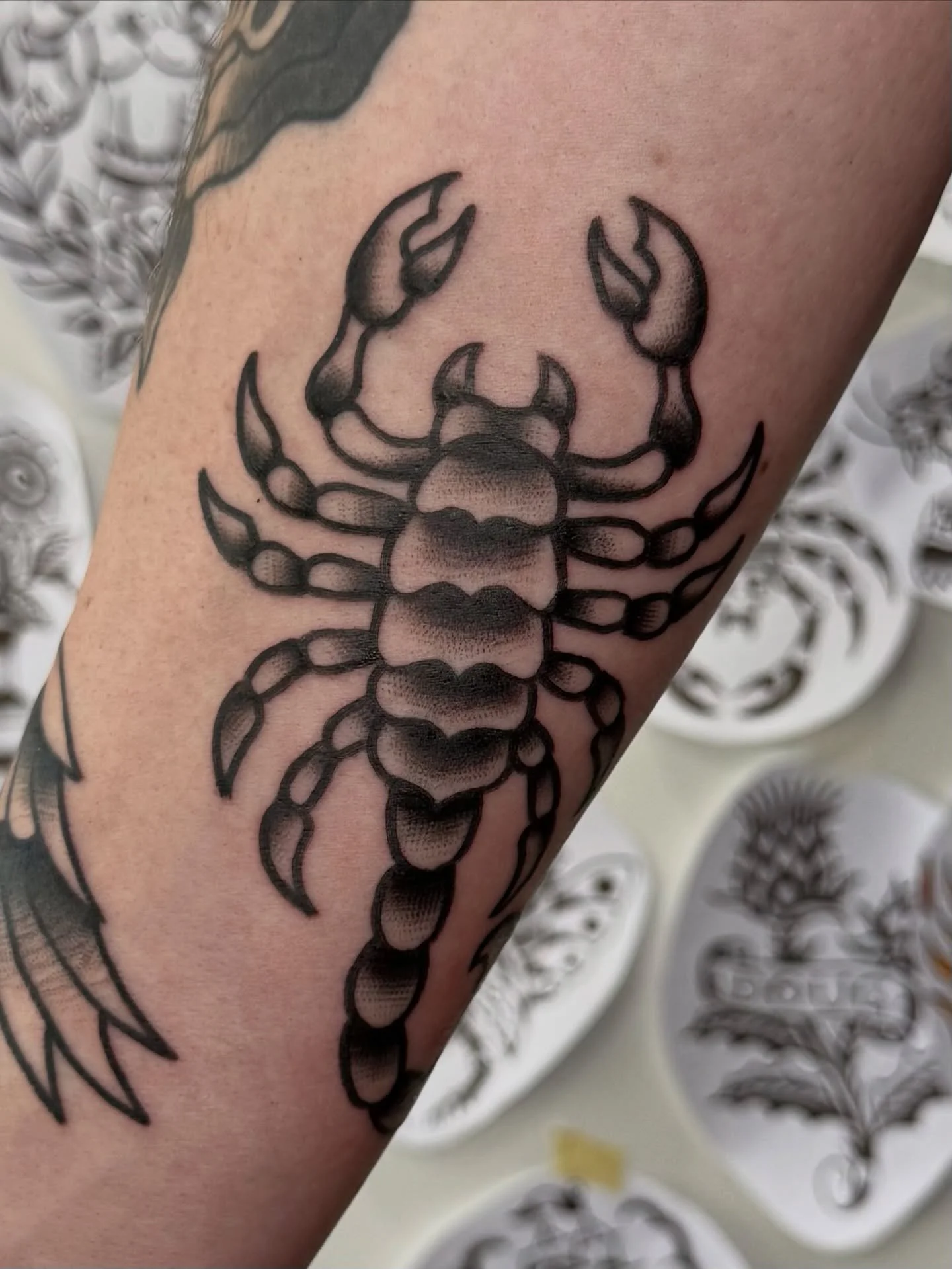 I have a few spots left in December, let me know if you would like to get a tattoo! 
Here&rsquo;s a few scorpions made recently 🦂

#sunshinecoasttattoo #brisbanetattoo #traditionaltattoo