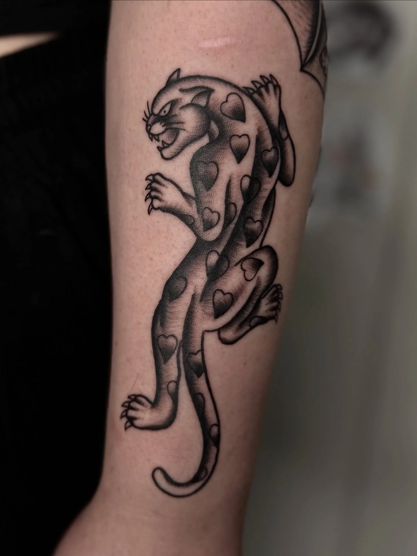 Looking forward to the week ahead! 
I have some space left in December if you would like a tattoo before the end of the year 👻

#sunshinecoasttattoo #brisbanetattoo #traditionaltattoo #tattoostudio #arteryink