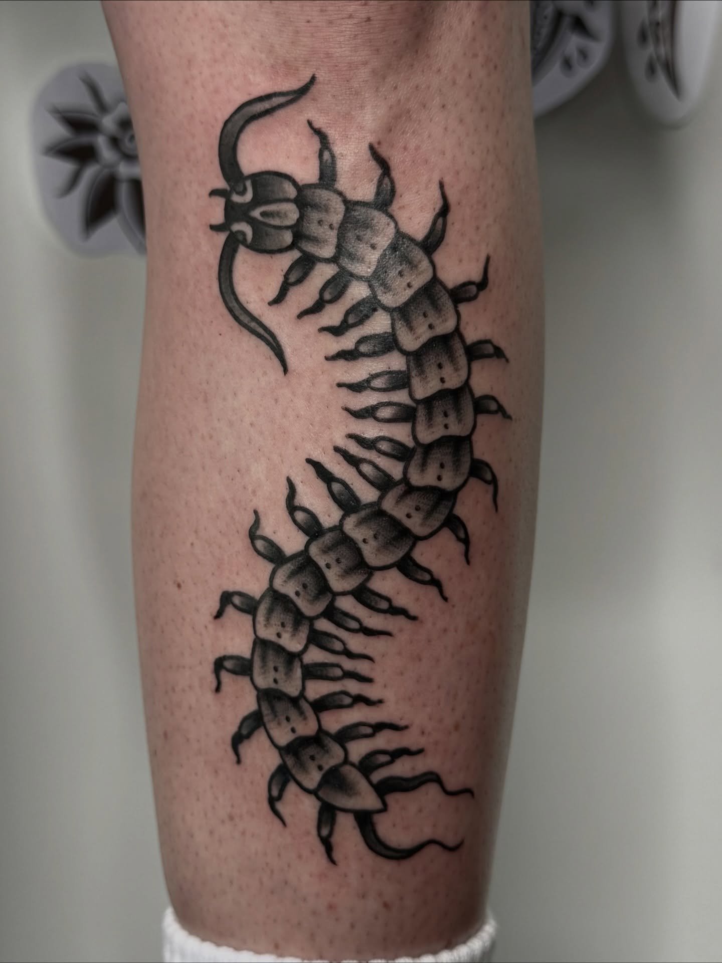New centipede on the shin for Klara, thanks for visiting again! Swipe to see a healed dragon 🐉 

#sunshinecoasttattoo #traditionaltattoo #arteryink #tattoo #maroochydoretattoo #brisbanetattoo