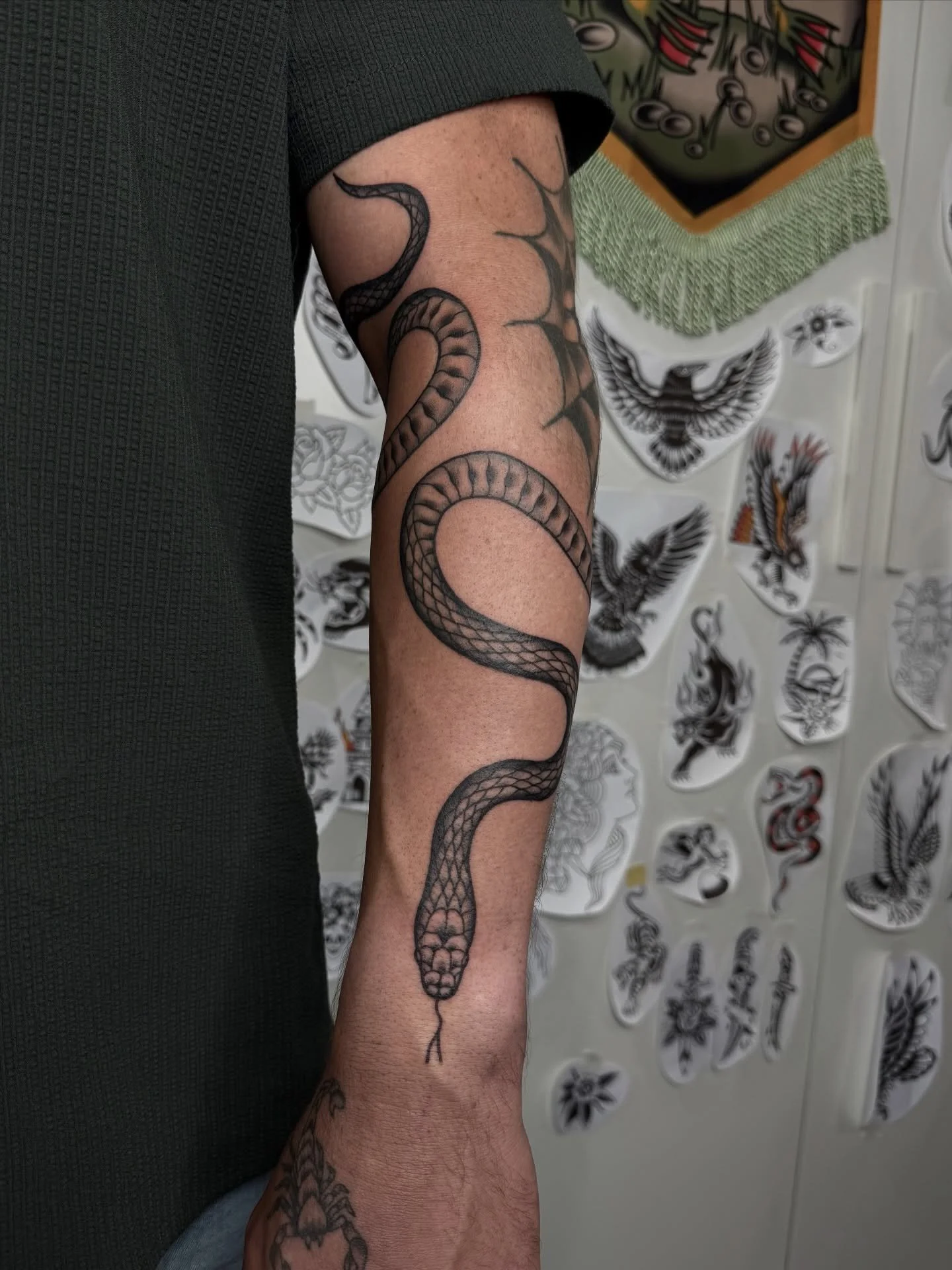 Booking January-February 🐍

Snake made recently for Nick, good to see you again mate!

#sunshinecoasttattoo #brisbanetattoo #arteryink