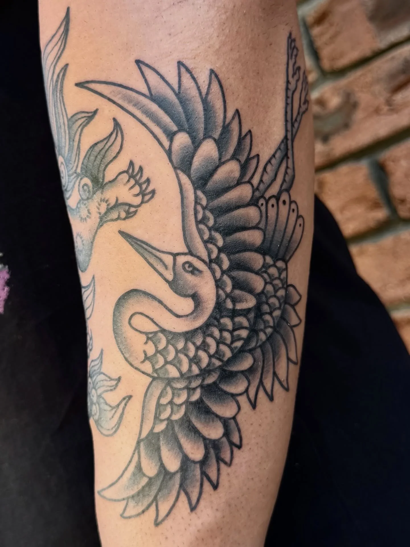 Thanks for visiting Saulo! 

#sunshinecoasttattoo #arteryink #traditionaltattoo #classictattoo