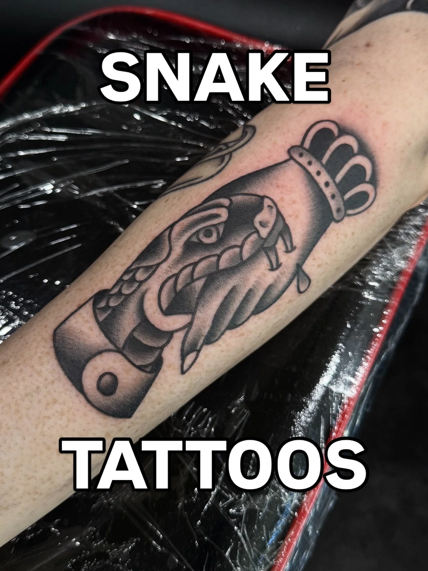 Some fresh, some healed and a real one 🐍
DM TO BOOK YOURS 🤙🏻

#snaketattoos #traditionaltattoo #tattoo #sunshinecoasttattoo #blacktattoo