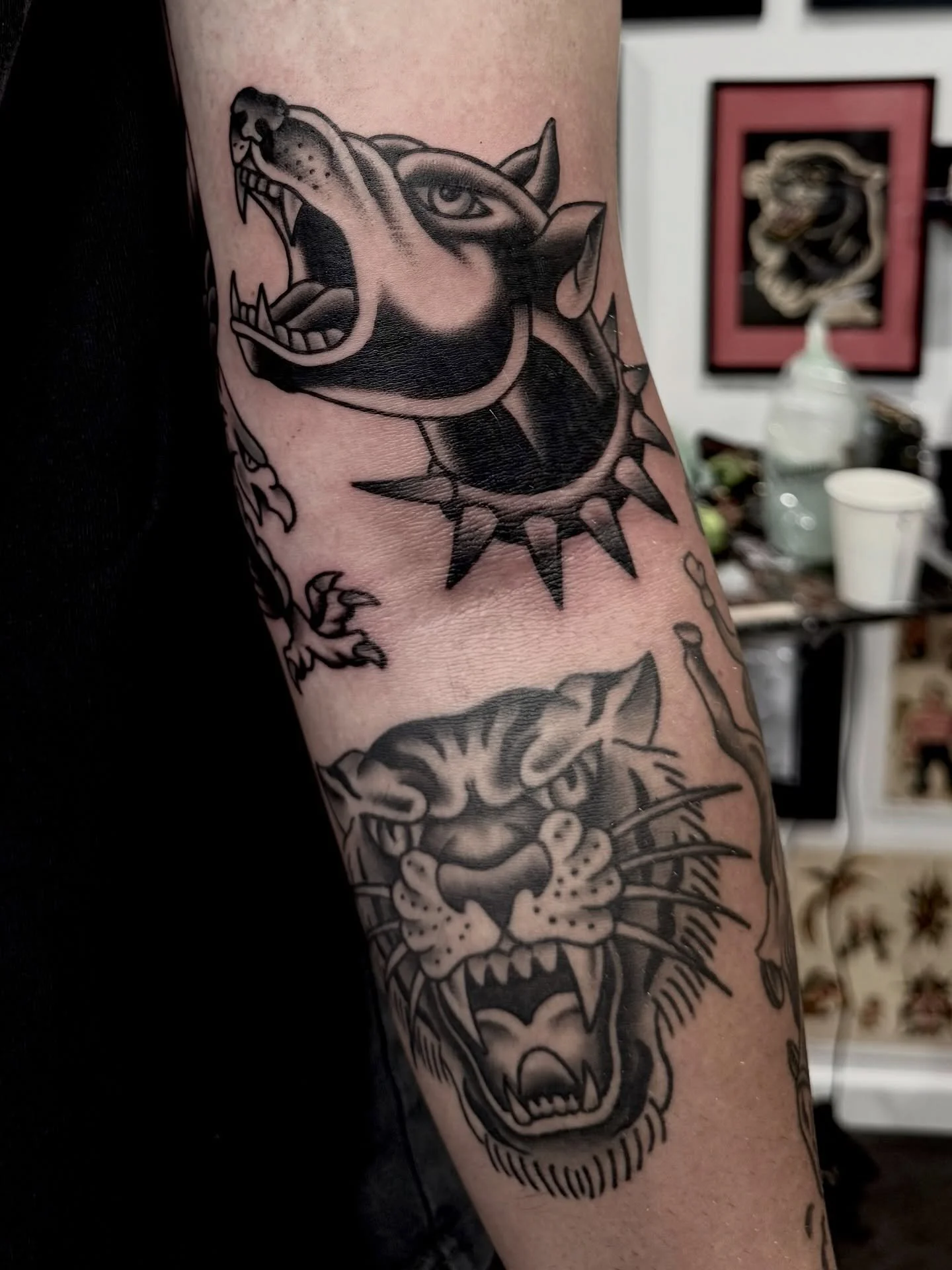 Made in a half day - Eagle and Doberman 🏁🏁
Healed Tiger by me. Thank you Brock, looking forward to doing more this week! 

#sunshinecoasttattoo #tattoo #arteryink