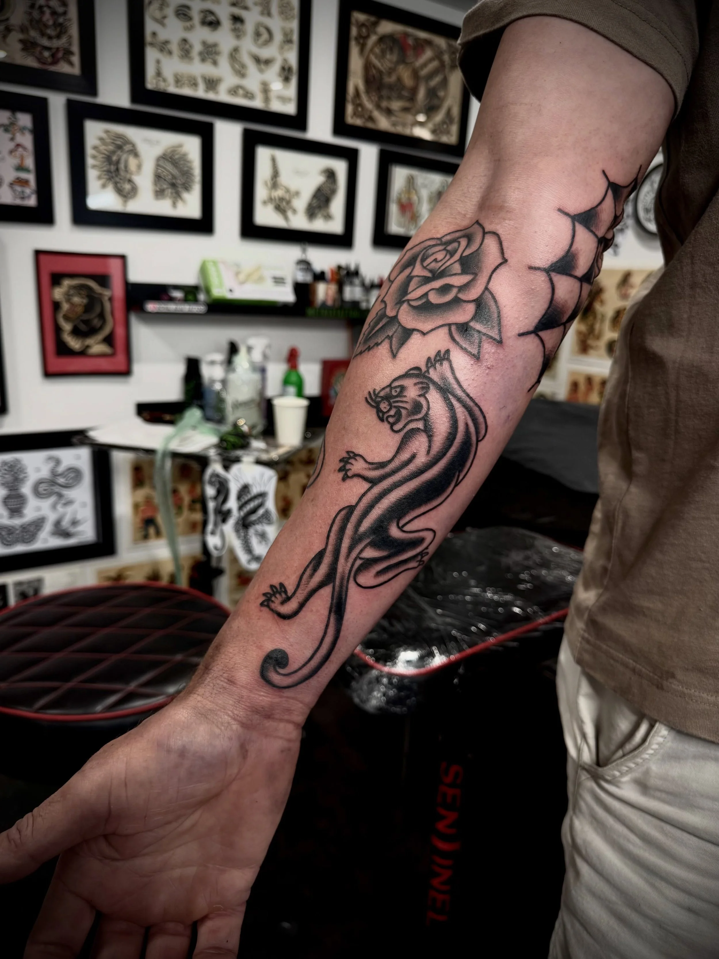 Can&rsquo;t go wrong with a black cat, such a classic 🐈&zwj;⬛ 

#sunshinecoasttattoo #panthertattoo #tattoo #traditionaltattoo #classictattoo