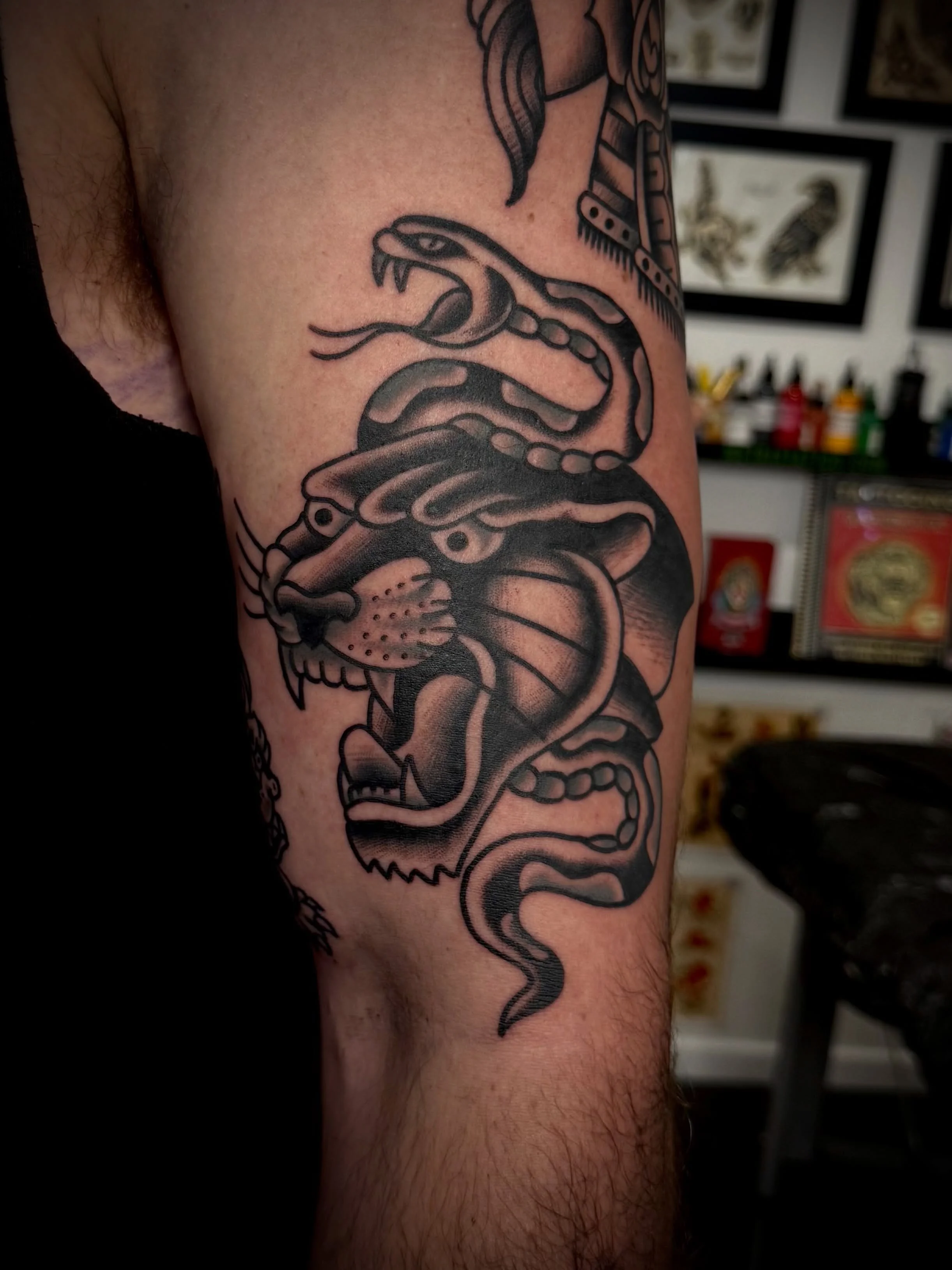 Love how this one turned out today for Ryan, thanks for visiting mate! 

#sunshinecoasttattoo #panthertattoo #snaketattoo #brisbanetattoo #traditionaltattoo
