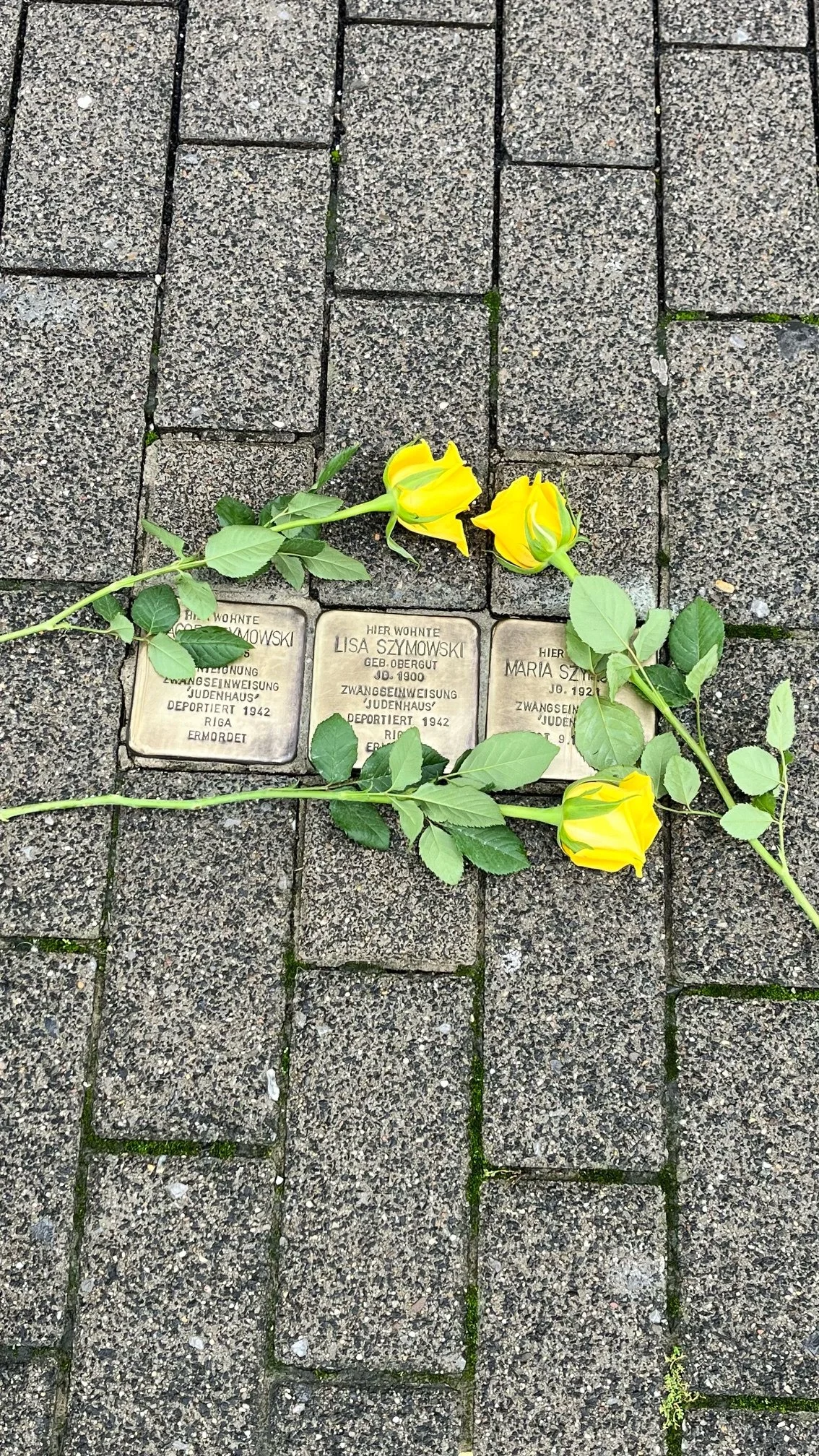 image10-1.jpeg