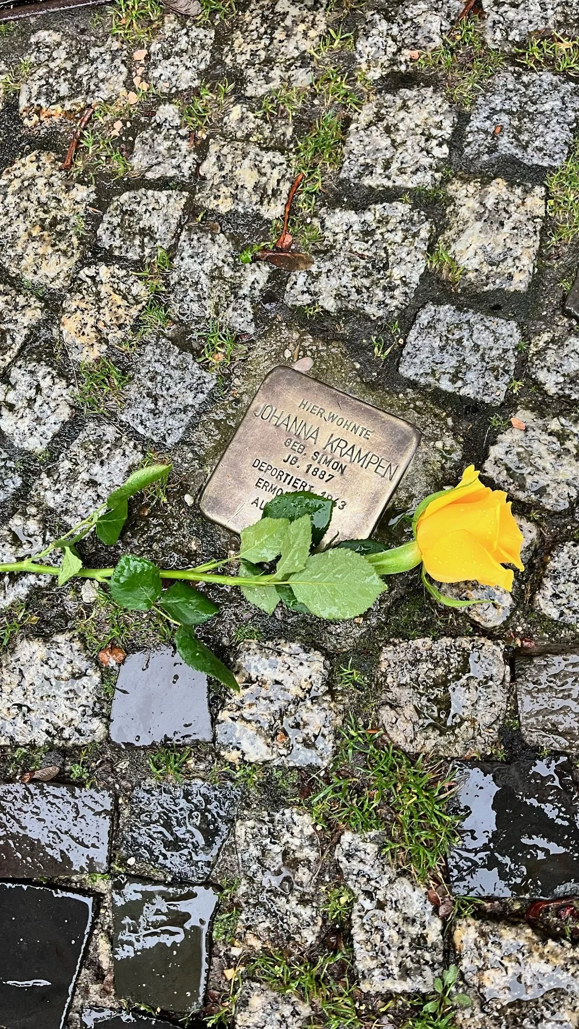 image12-2.jpeg