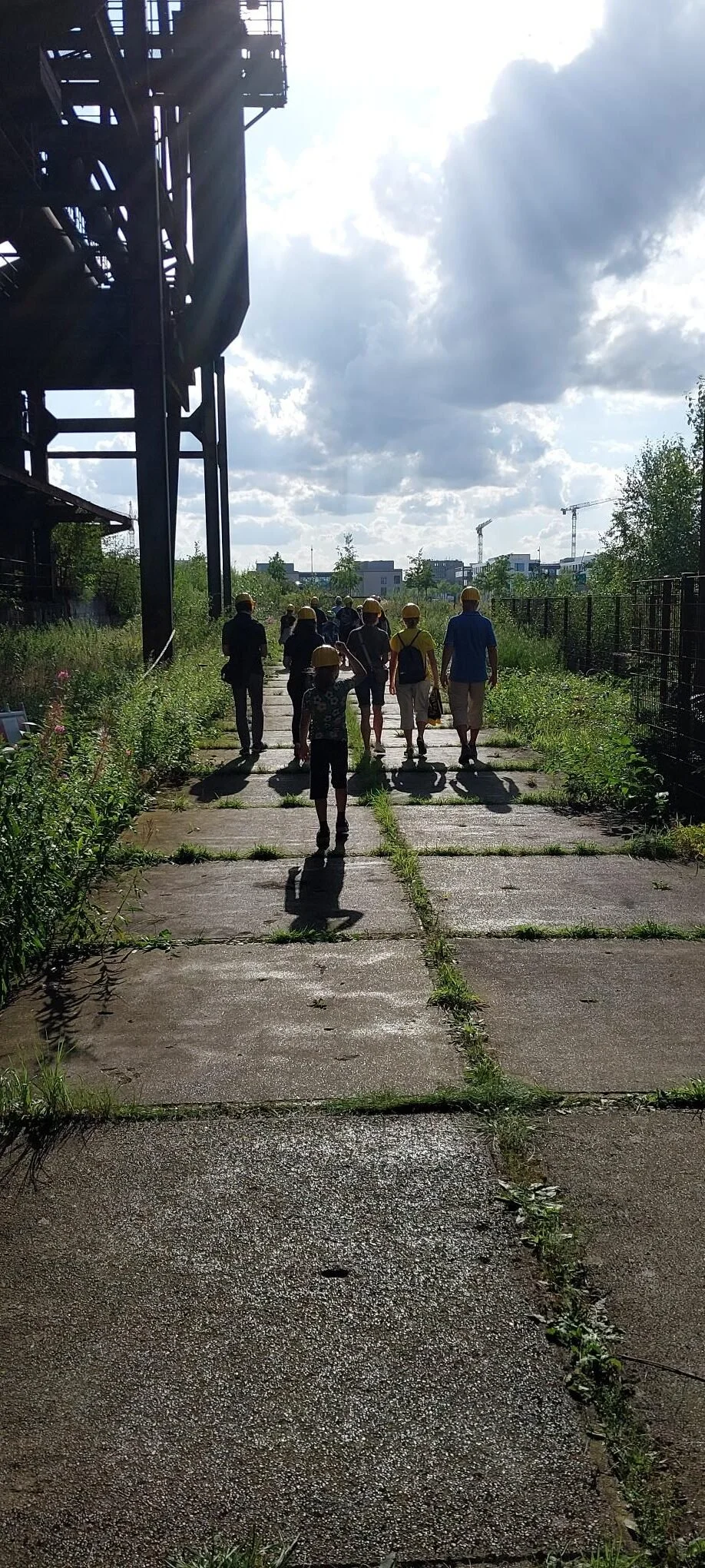 20230813_175210-rotated.jpg