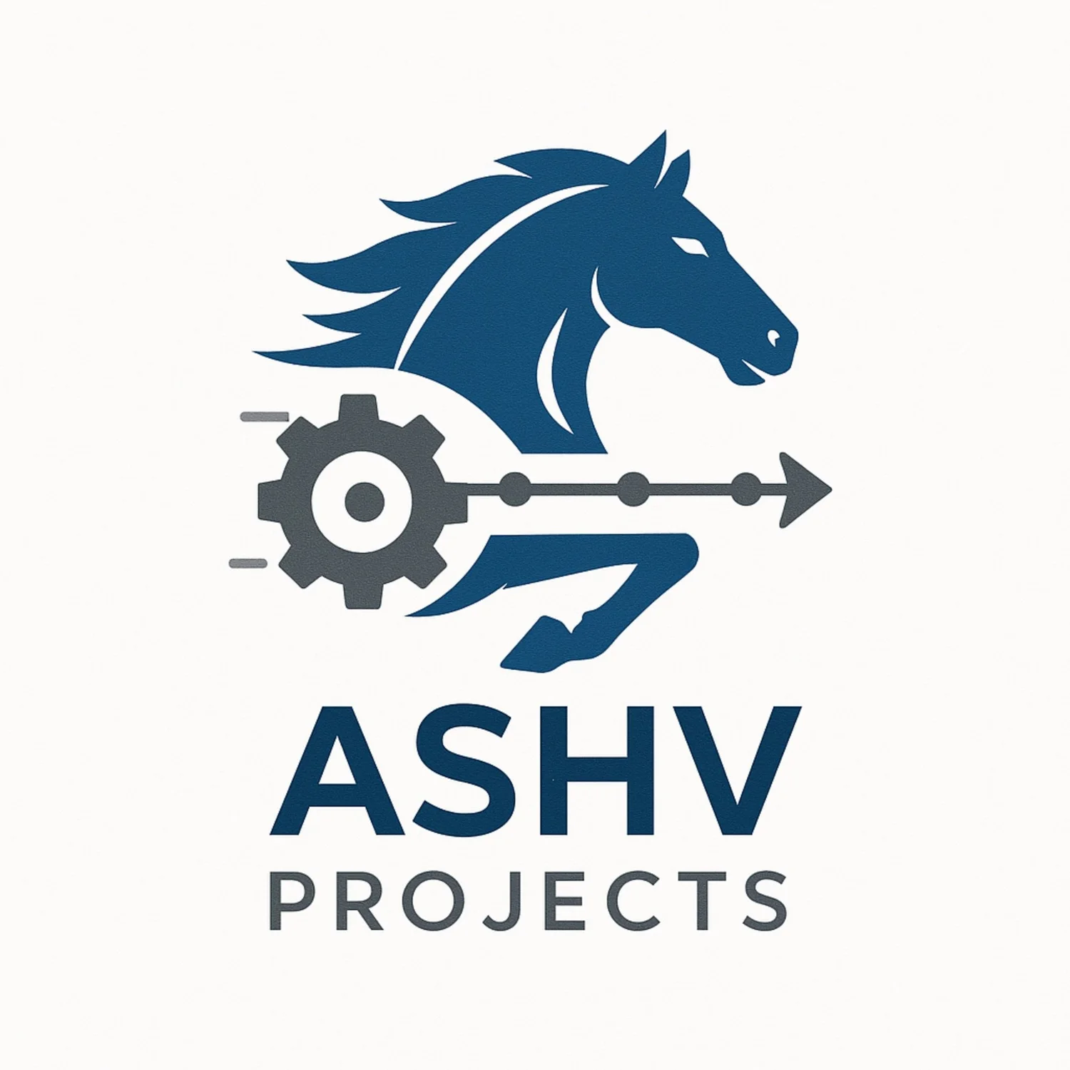 ASHV PROJECTS