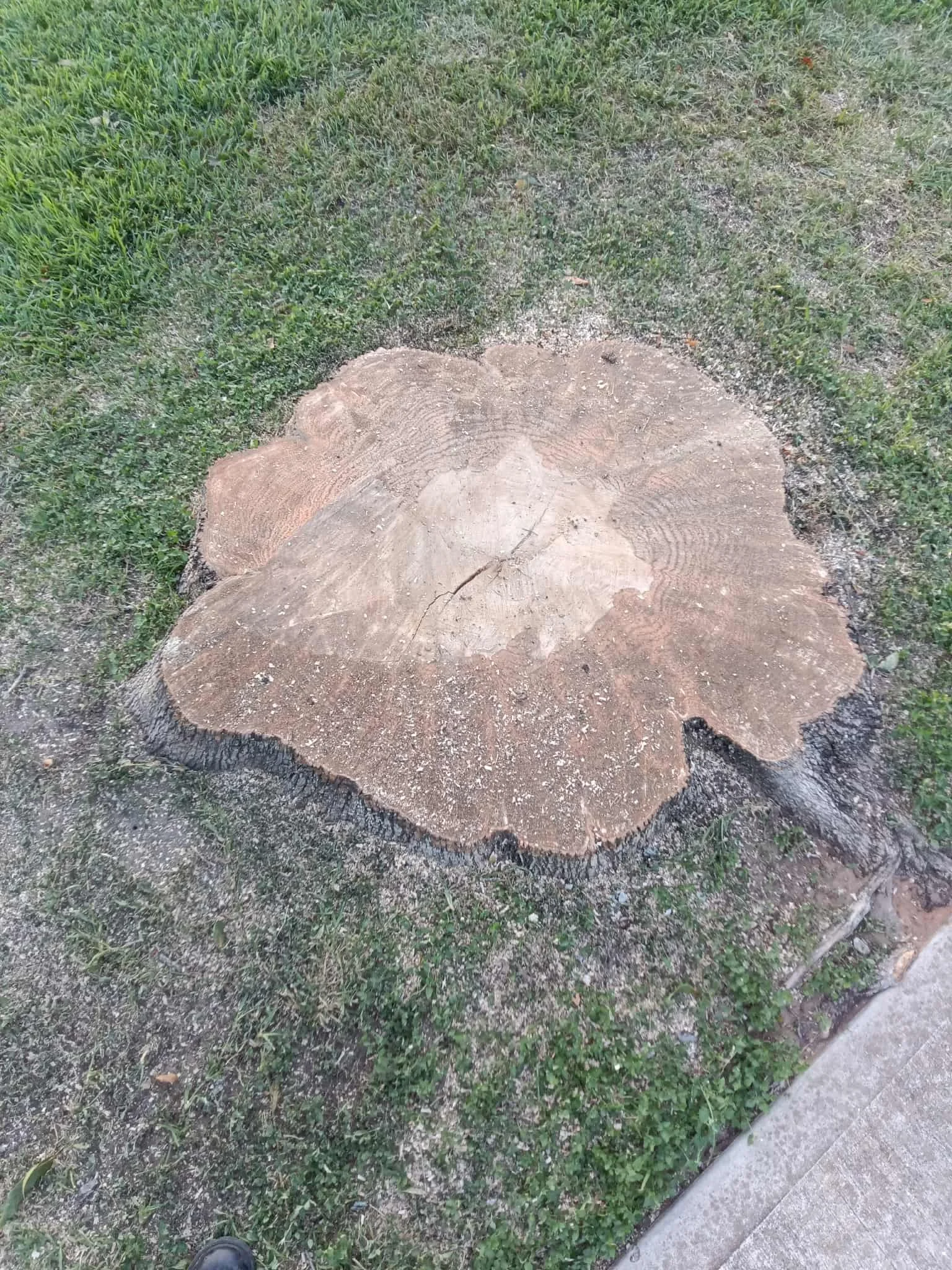 1000003745.jpg