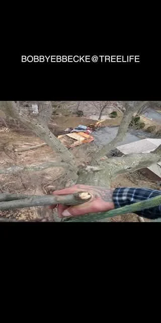 1000004060.jpg