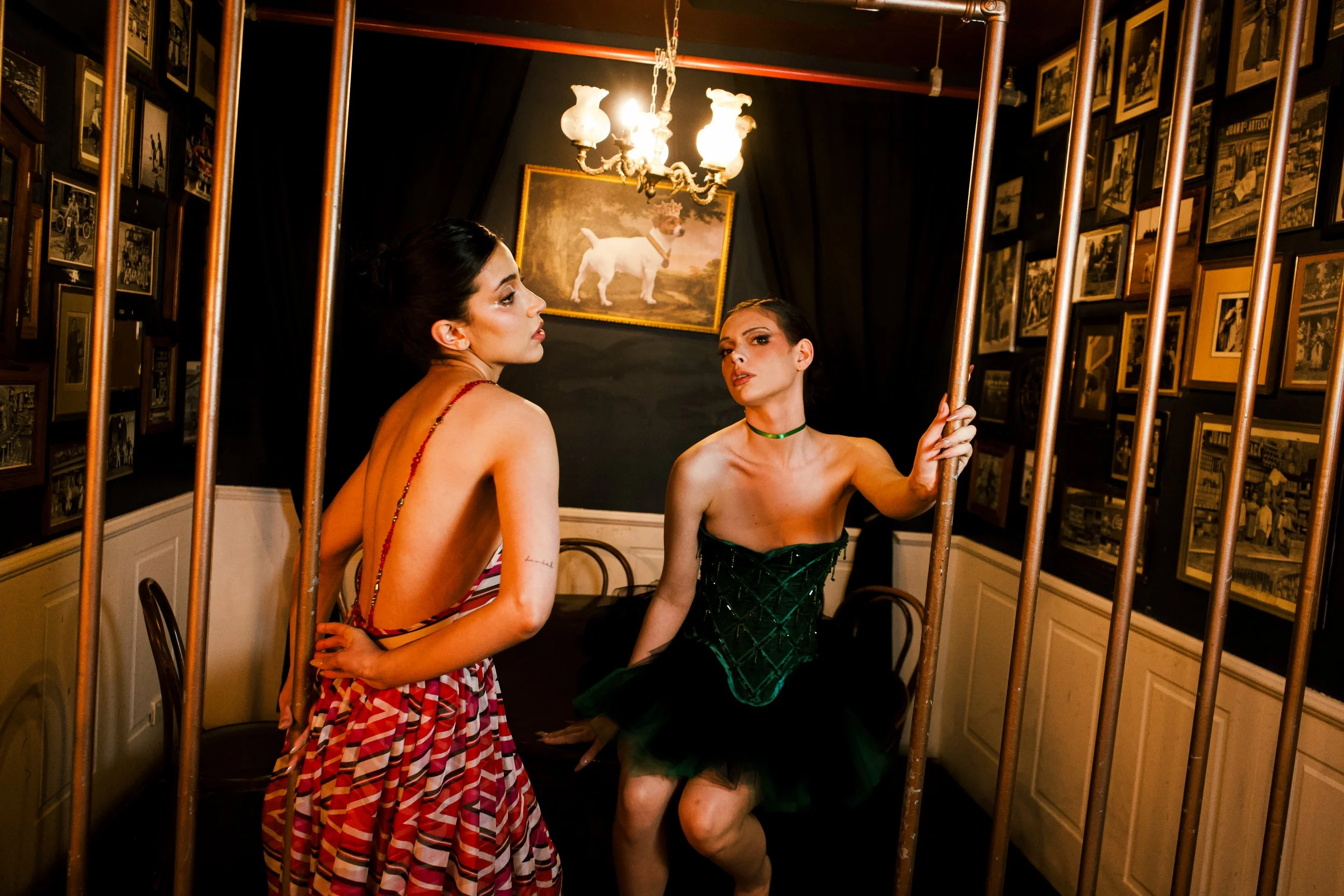 Two women in elegant dresses posing inside a room with dark walls, framed pictures, and a painting of a white dog. One woman in a colorful, backless dress stands behind a metal railing, while the other in a green strapless dress sits near the railing, gazing at the first woman.
