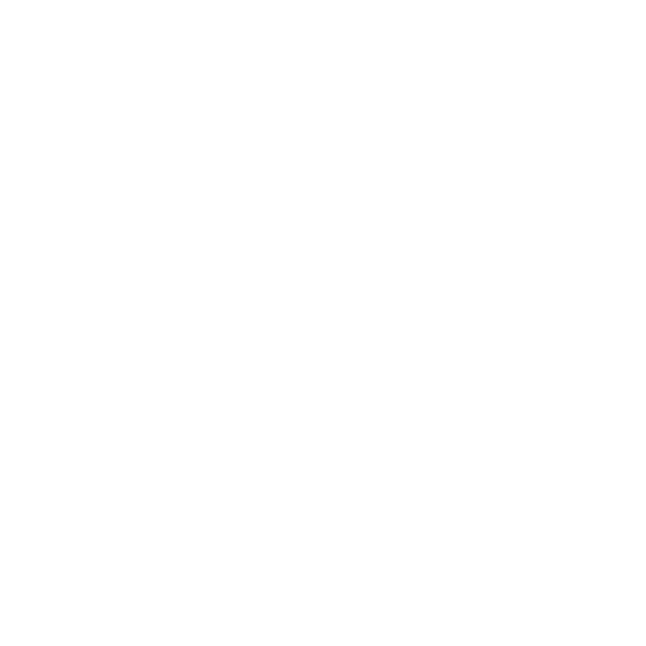12+ années d'expertise