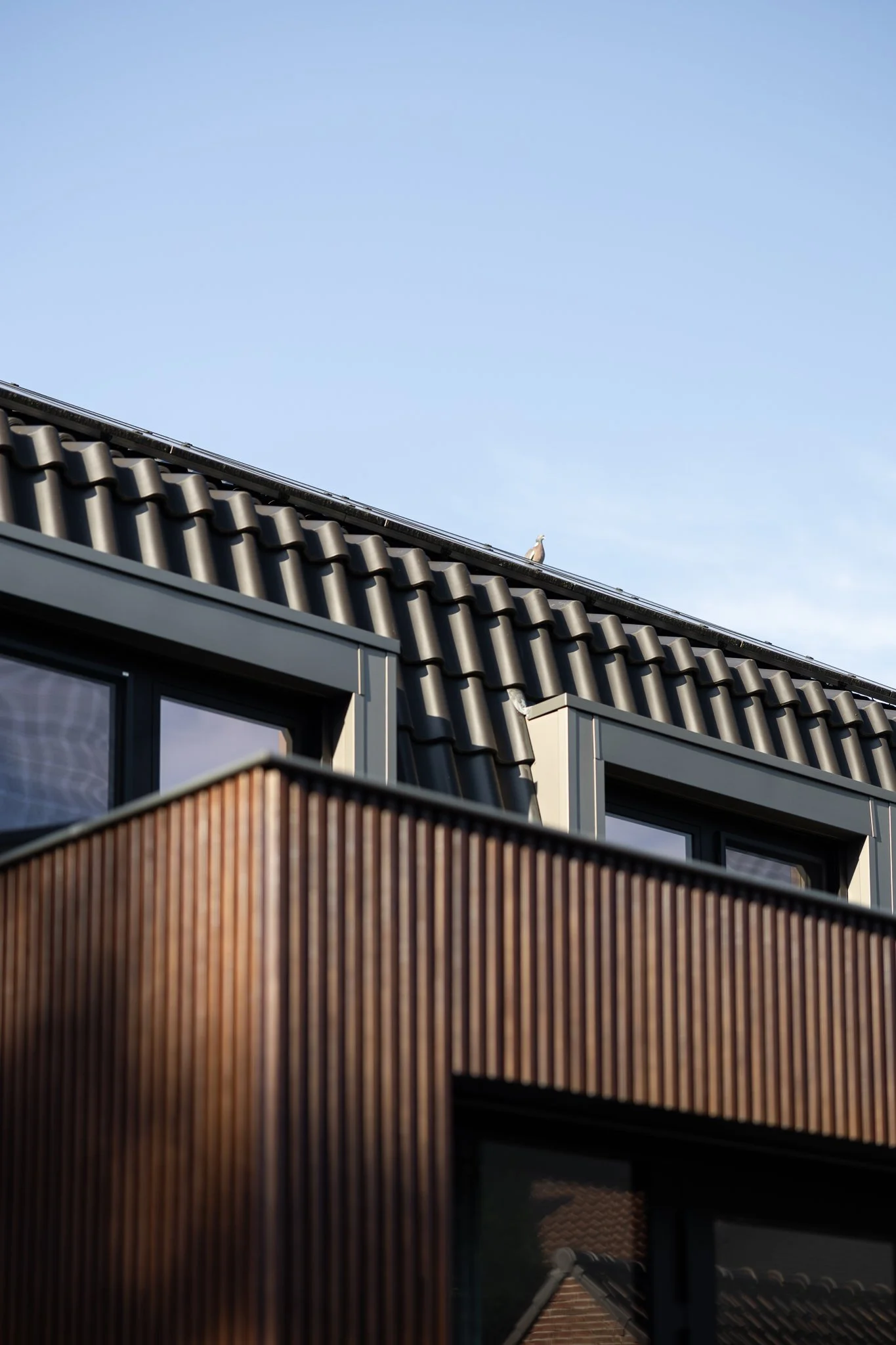 Timber extension beneath dark roof tiles and dormer windows with a bird on the roofline