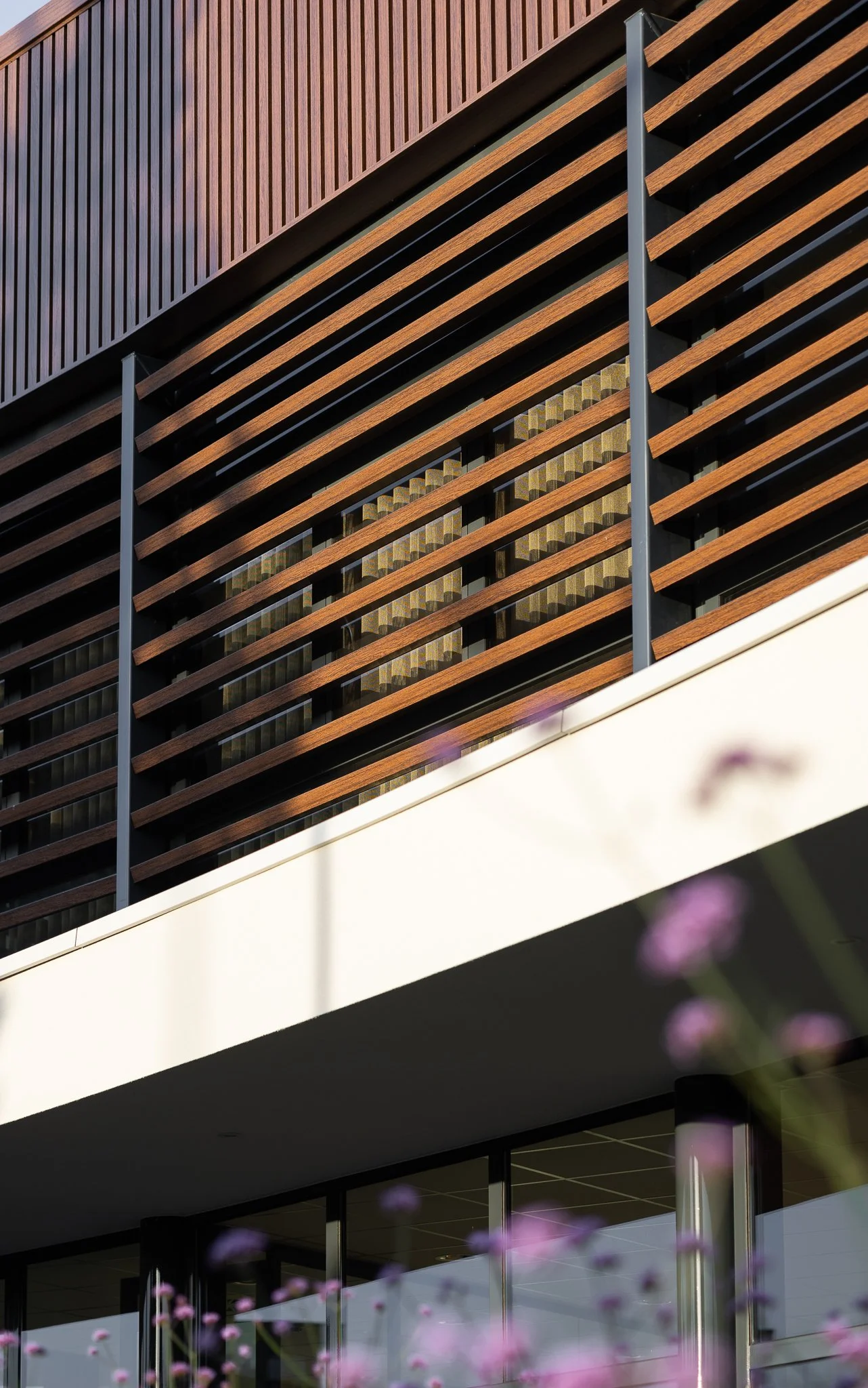 Curved white canopy against vertical timber cladding with purple flowers in the foreground