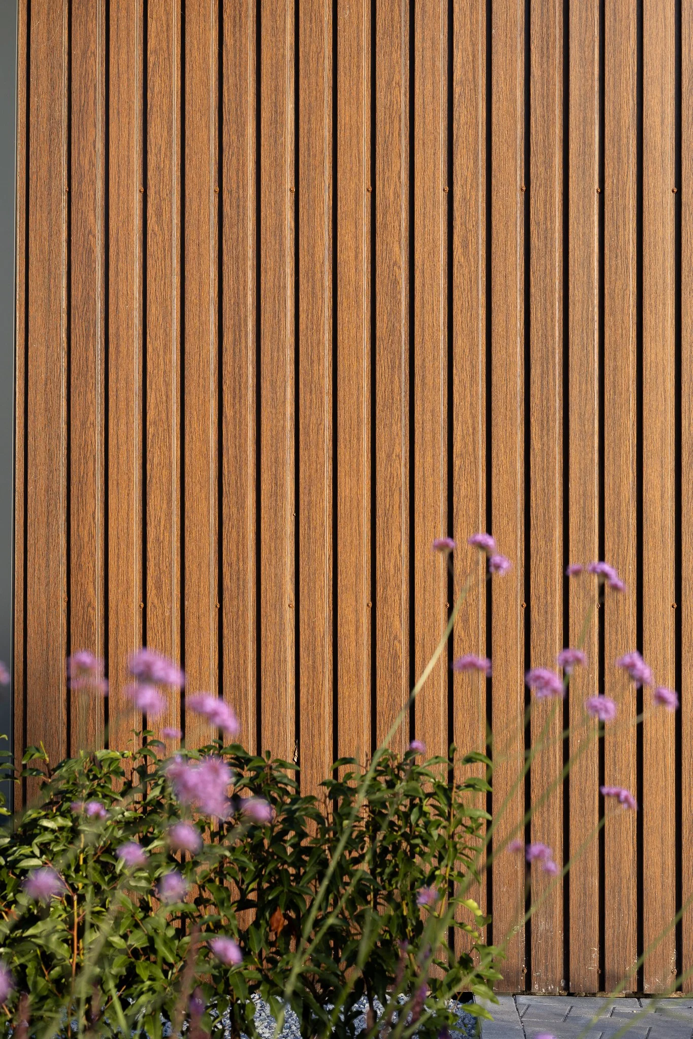 Detail of warm vertical timber cladding framed by soft purple garden flowers