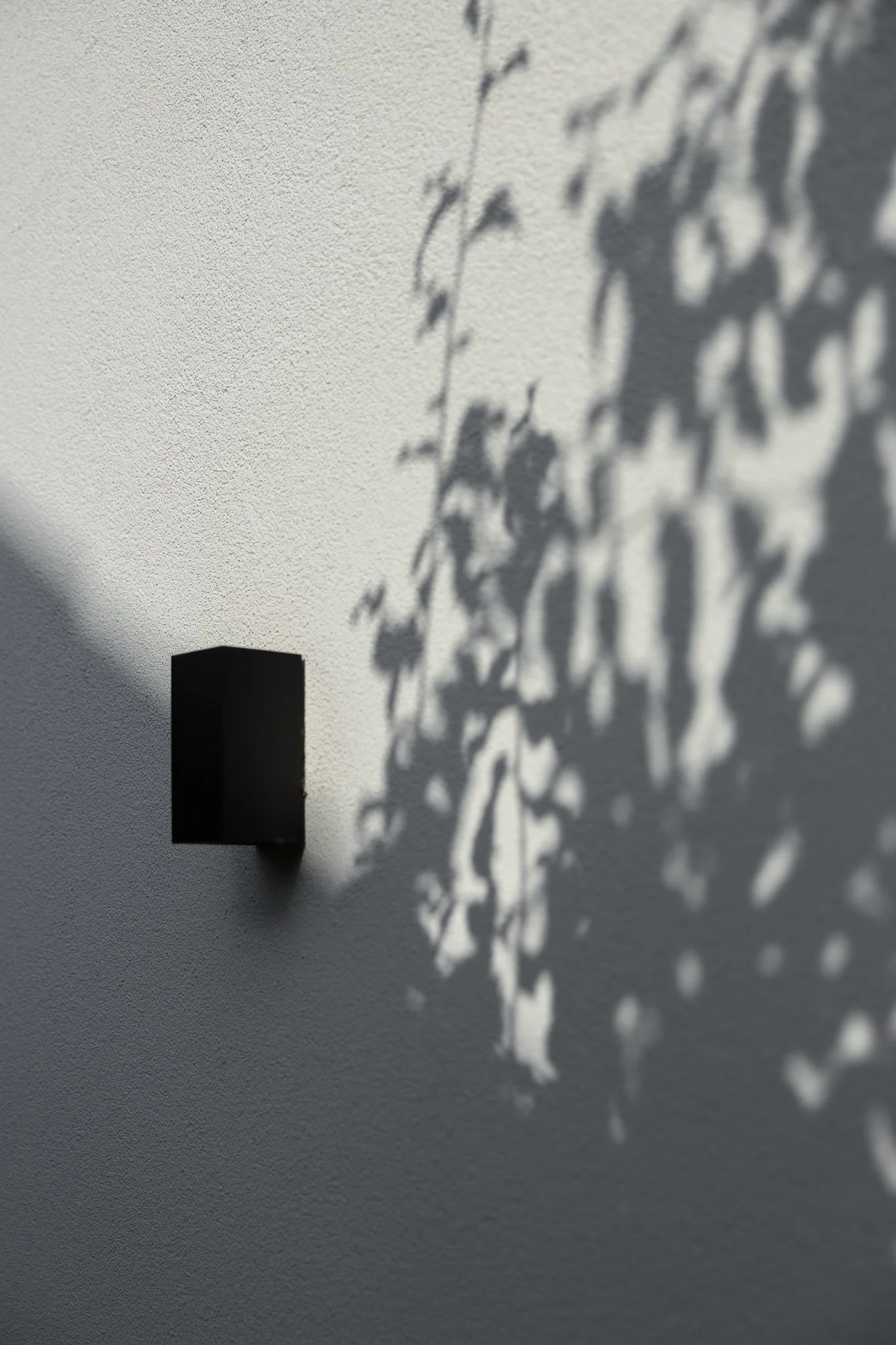 Minimal black wall light with botanical shadows on a textured white façade