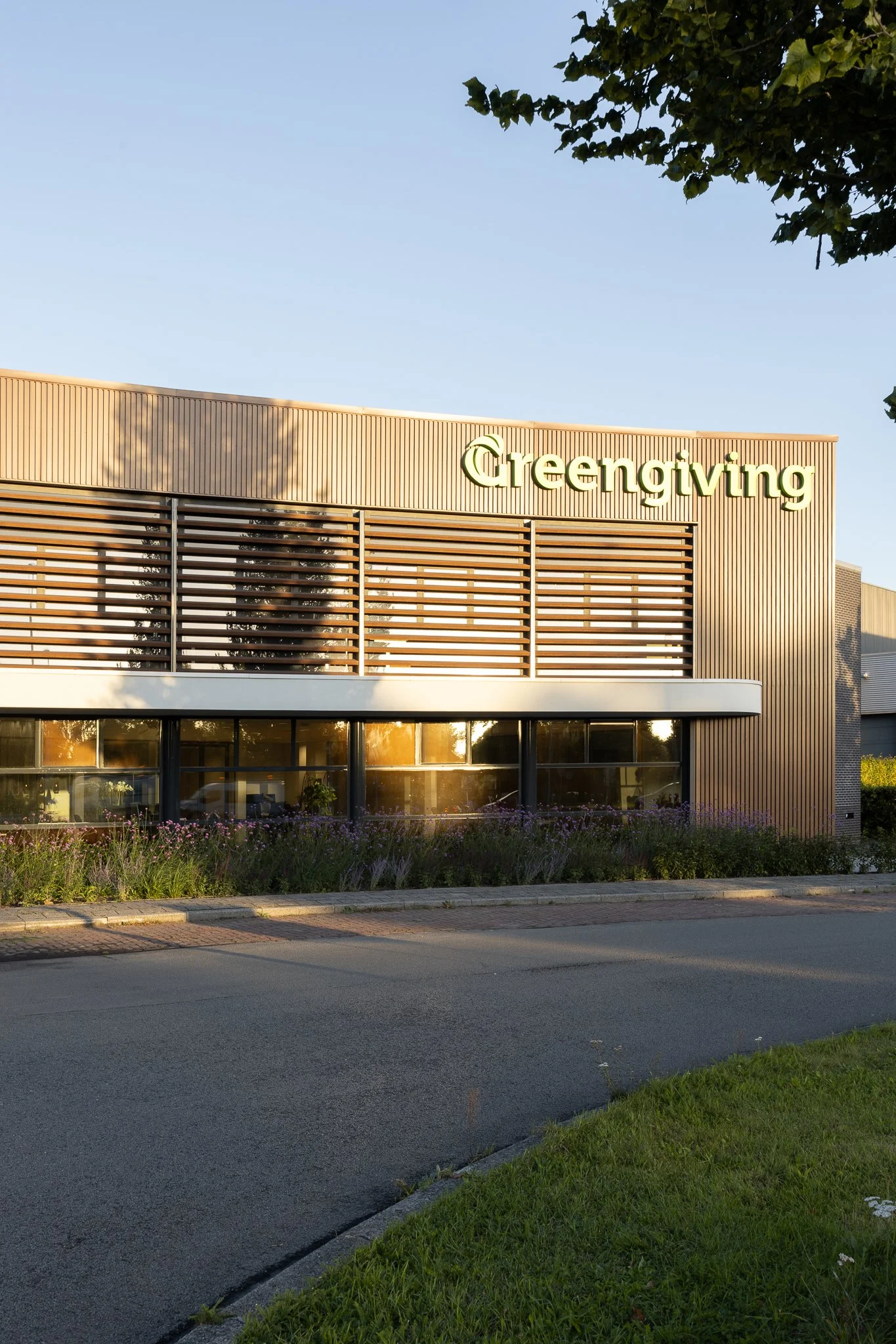 Modern Greengiving office with timber cladding and large windows in golden morning light