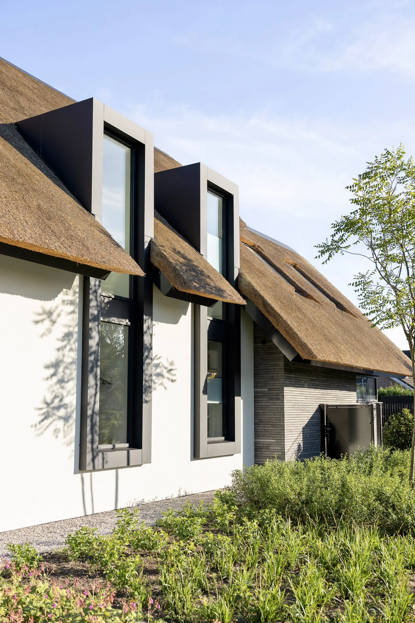 Modern dormer windows integrated into a thatched roof above a landscaped garden