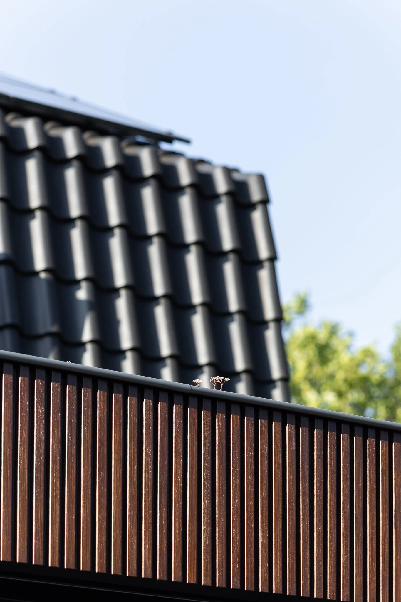 Close-up of dark roof tiles and clean vertical lines in the timber façade