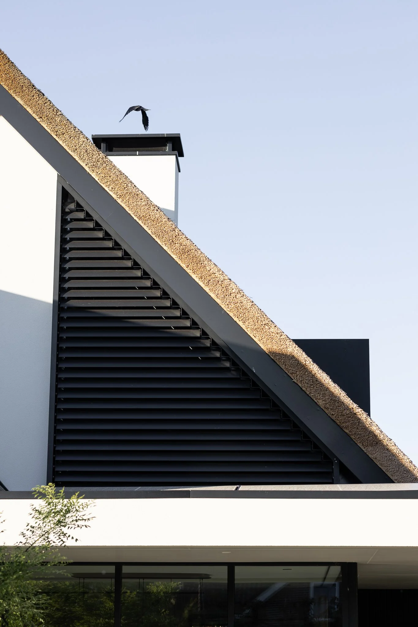 Angular thatched roofline with black louvres, a chimney and a bird flying overhead
