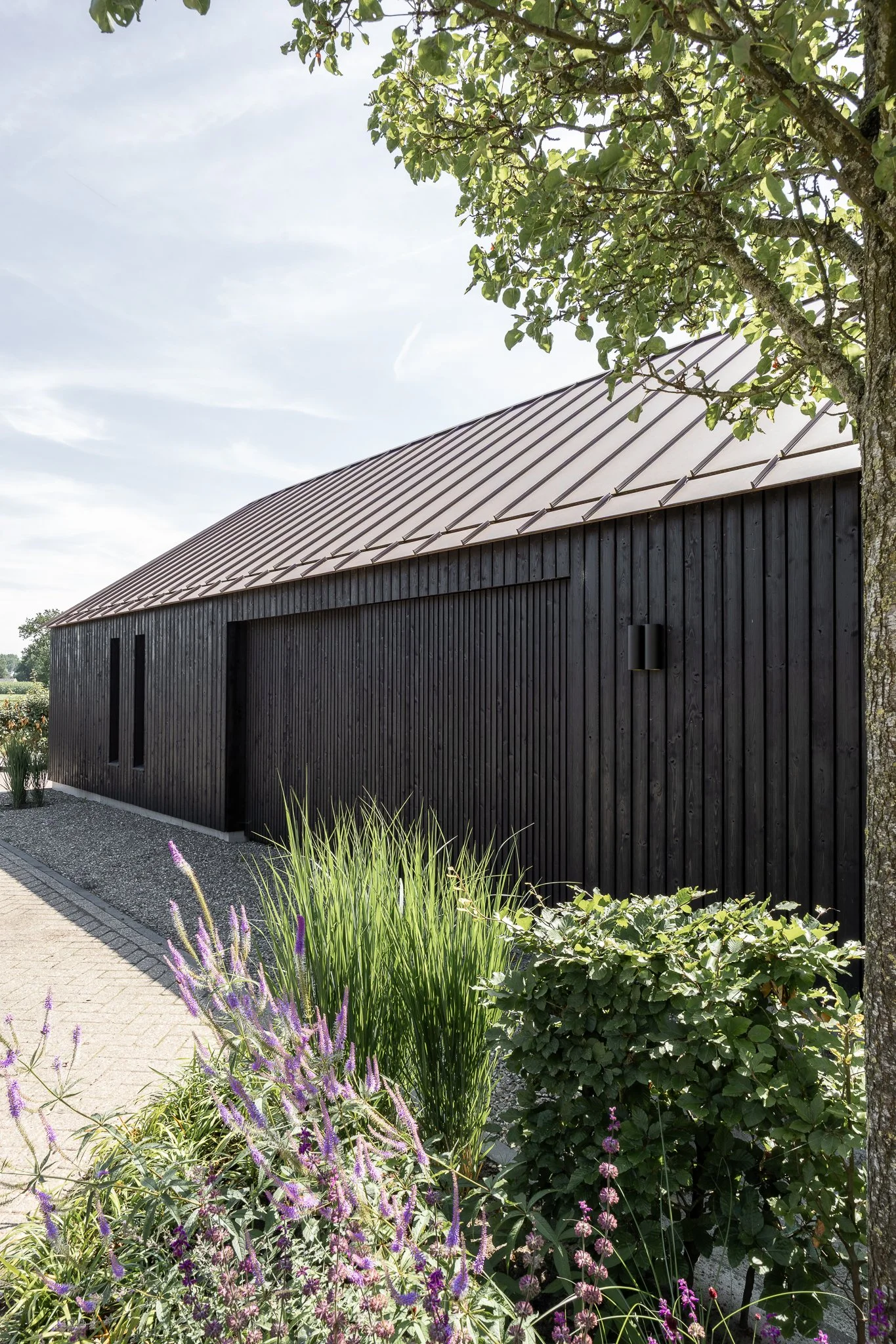 Sunlit garden view beside the dark timber façade of a contemporary barn