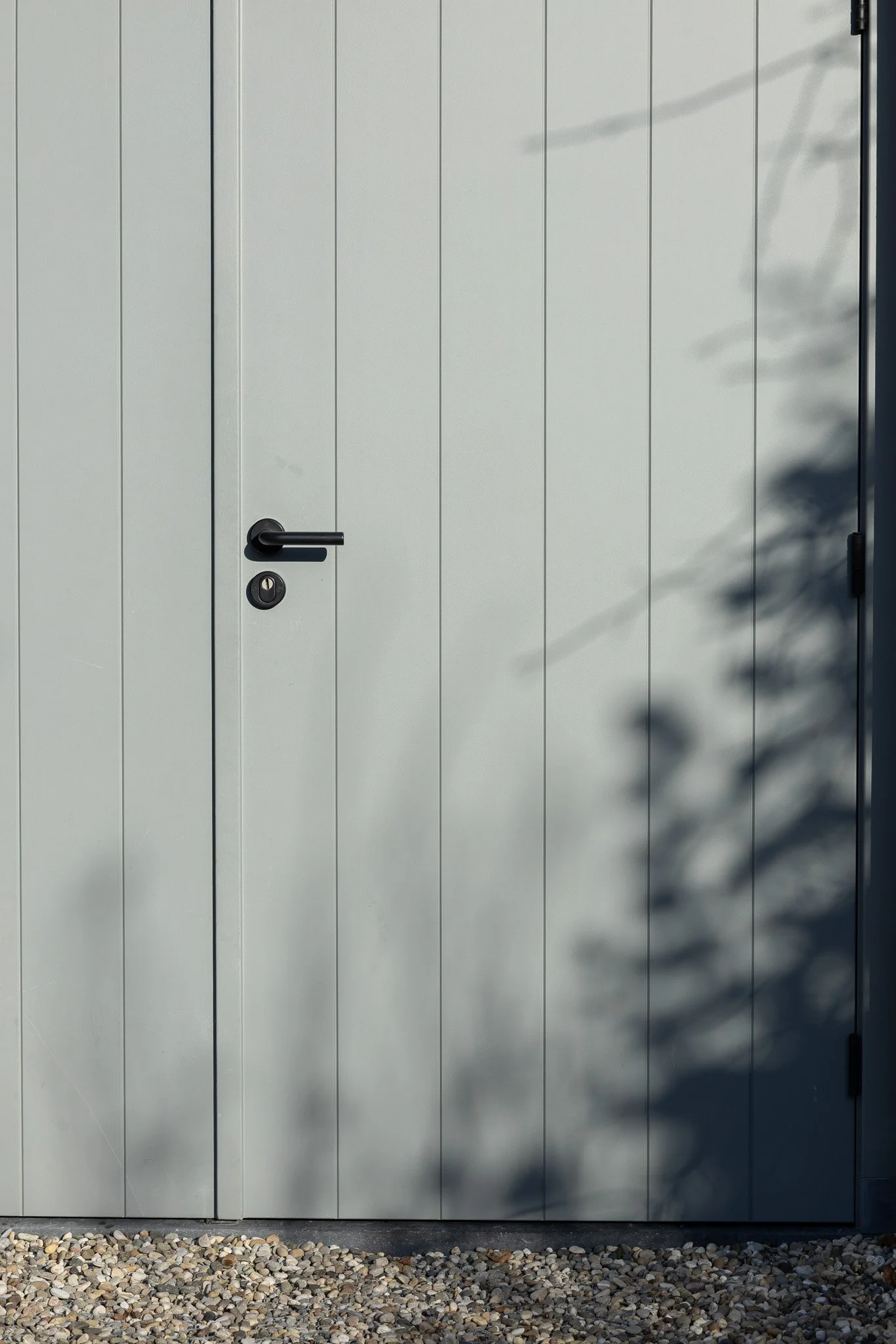 Minimal grey timber door with a black handle and soft botanical shadows