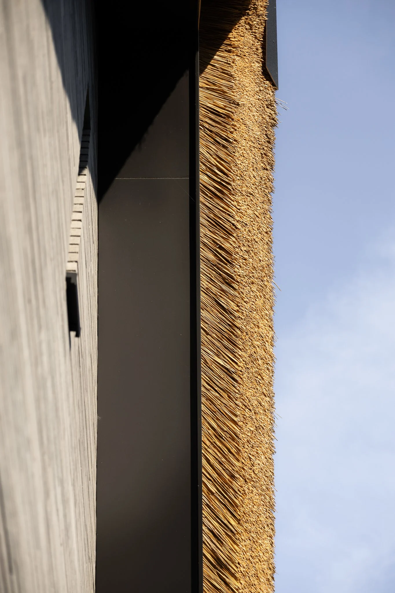 Close-up of the natural texture and clean metal edging of a modern thatched roof