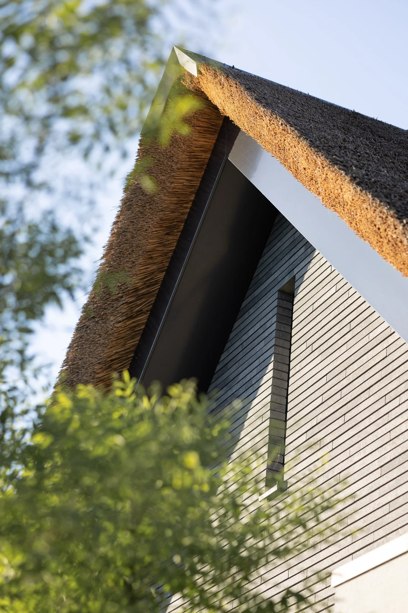 Contemporary villa with steep thatched roofs, large glass doors and a spacious green garden