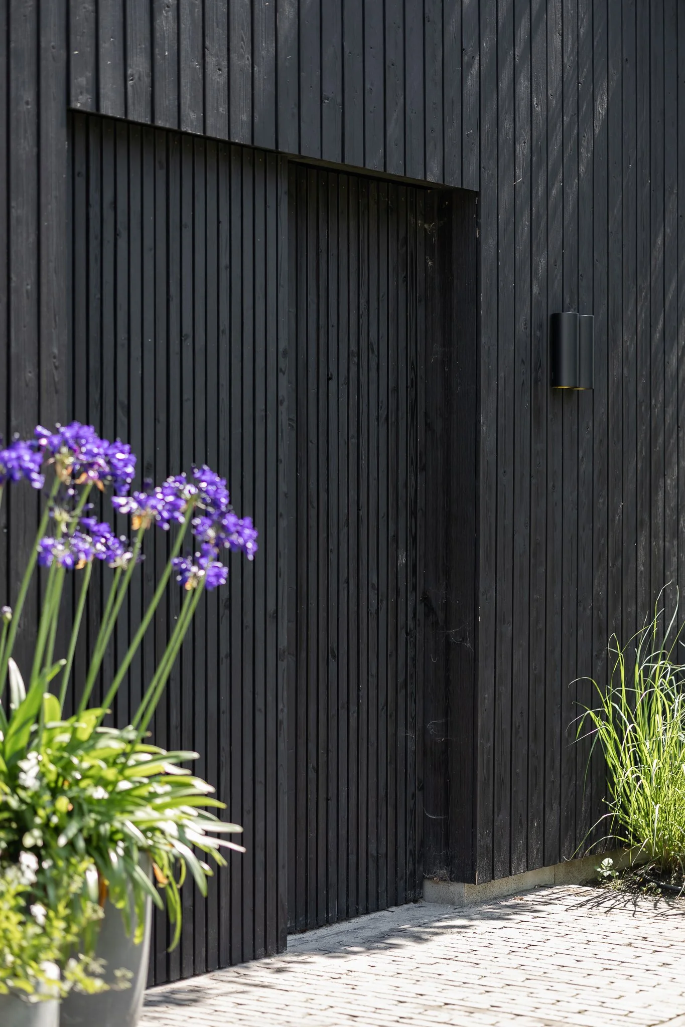 Recessed entrance in the black timber façade with purple agapanthus flowers