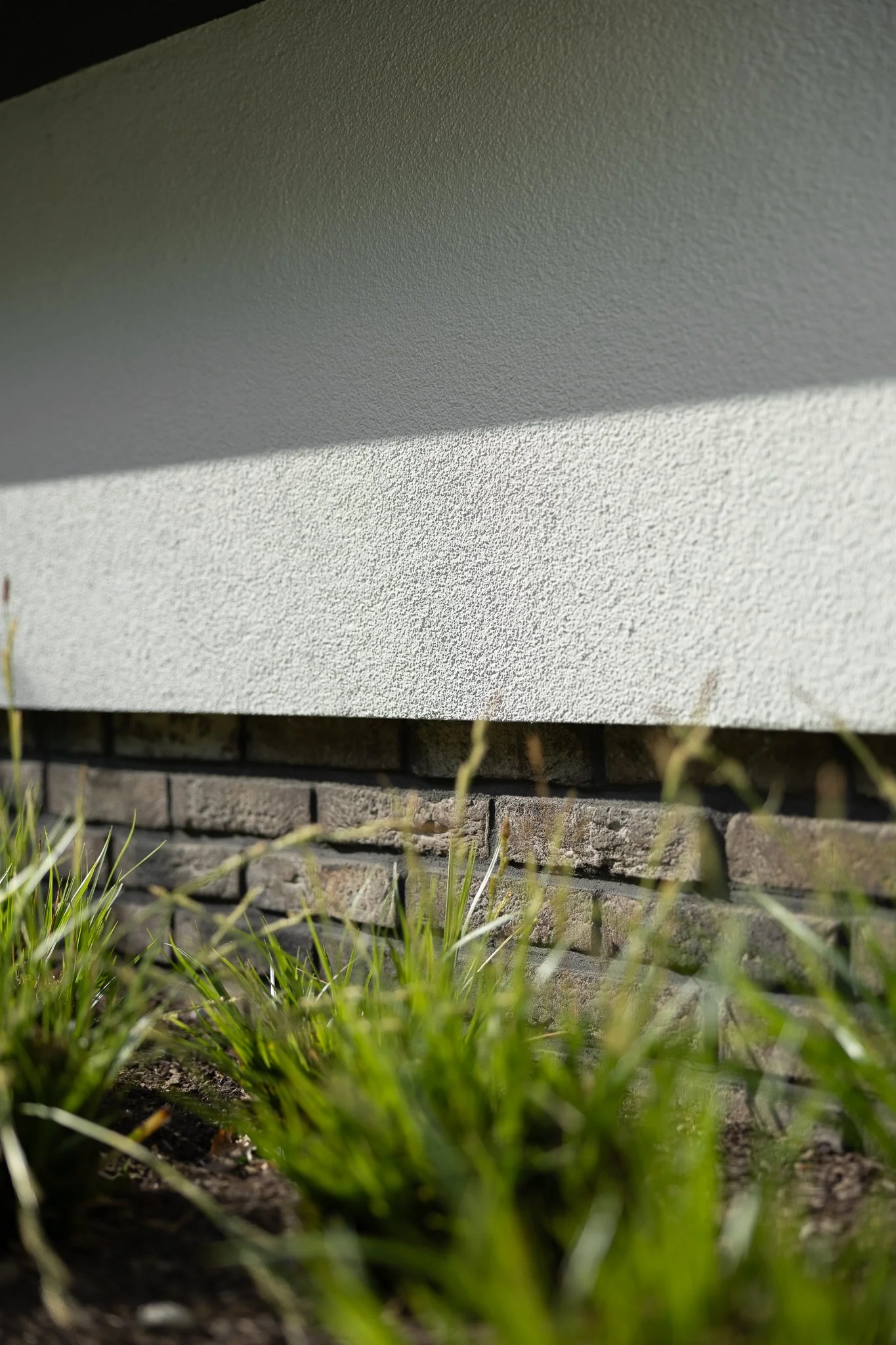 Architectural detail of white textured render, dark brickwork and ornamental grasses in sunlight