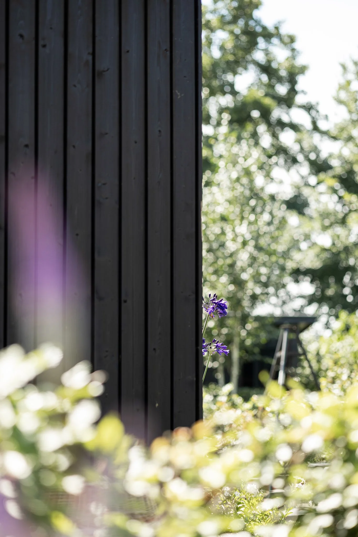 Entrance of a black timber barn framed by greenery and purple flowers