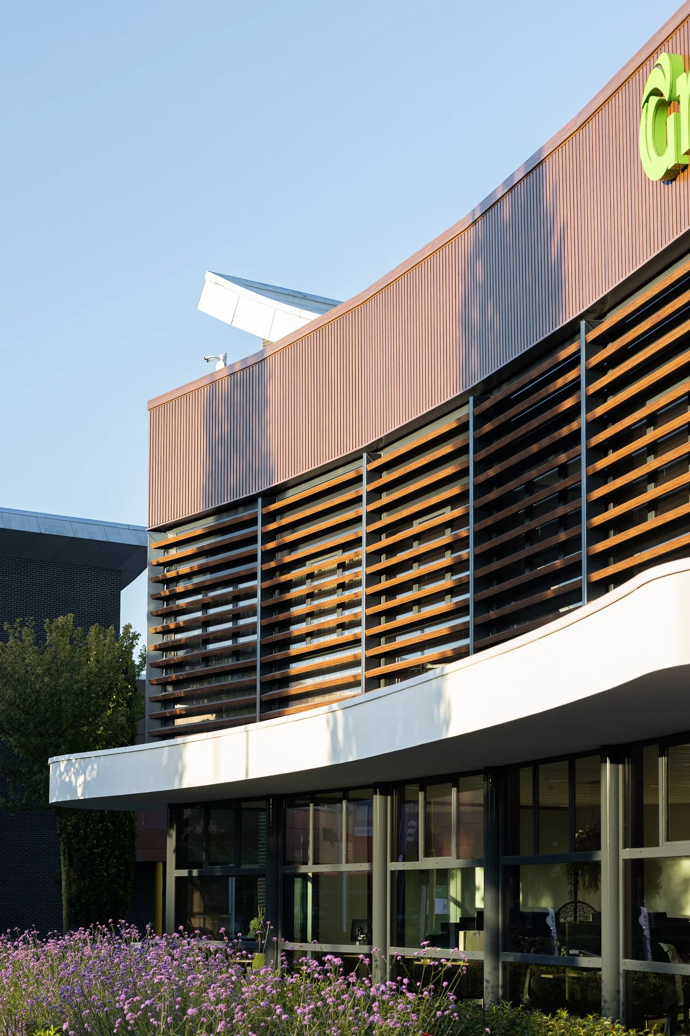 Architectural detail of horizontal timber sunshades with purple flowers in the foreground