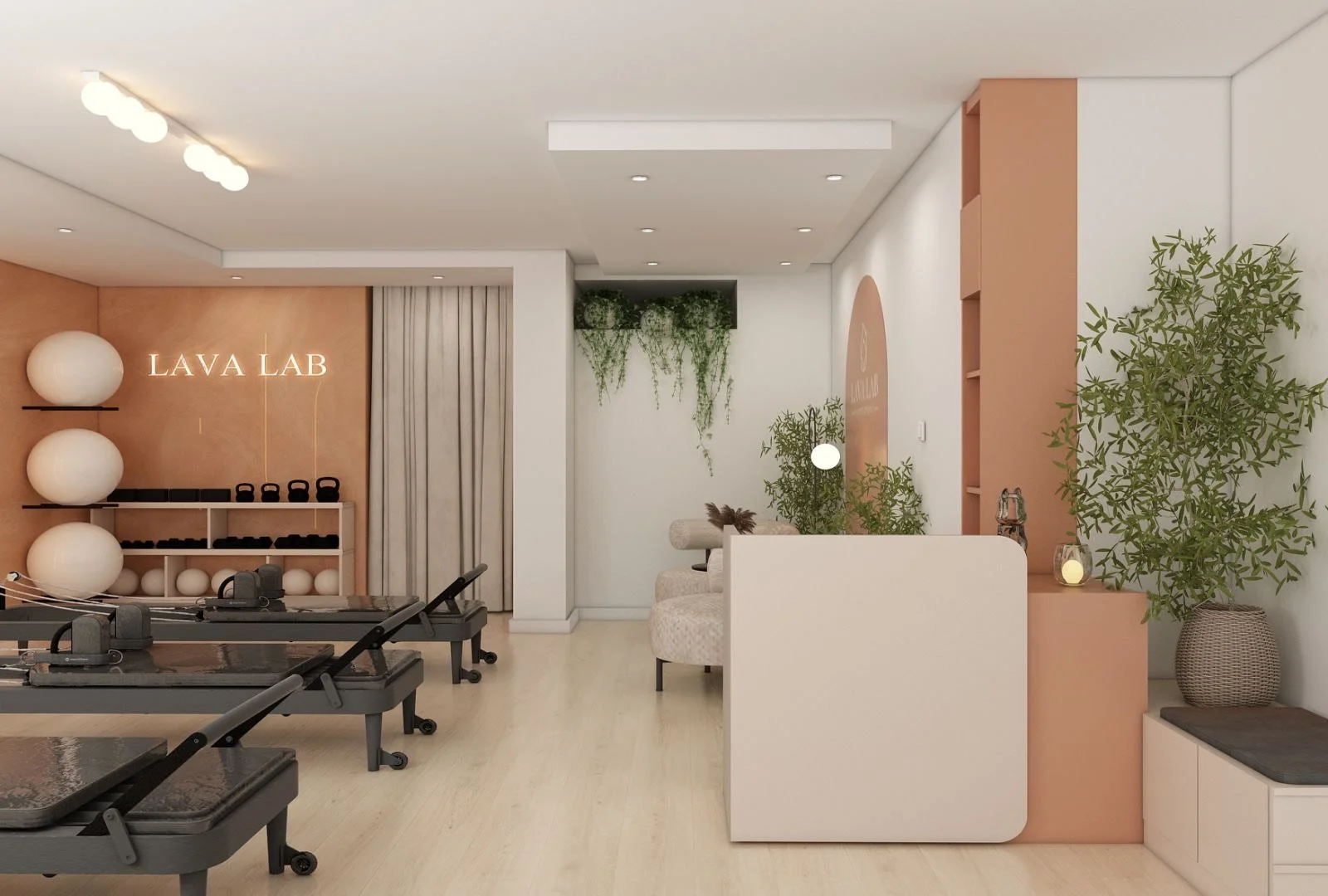 intro offer new clients