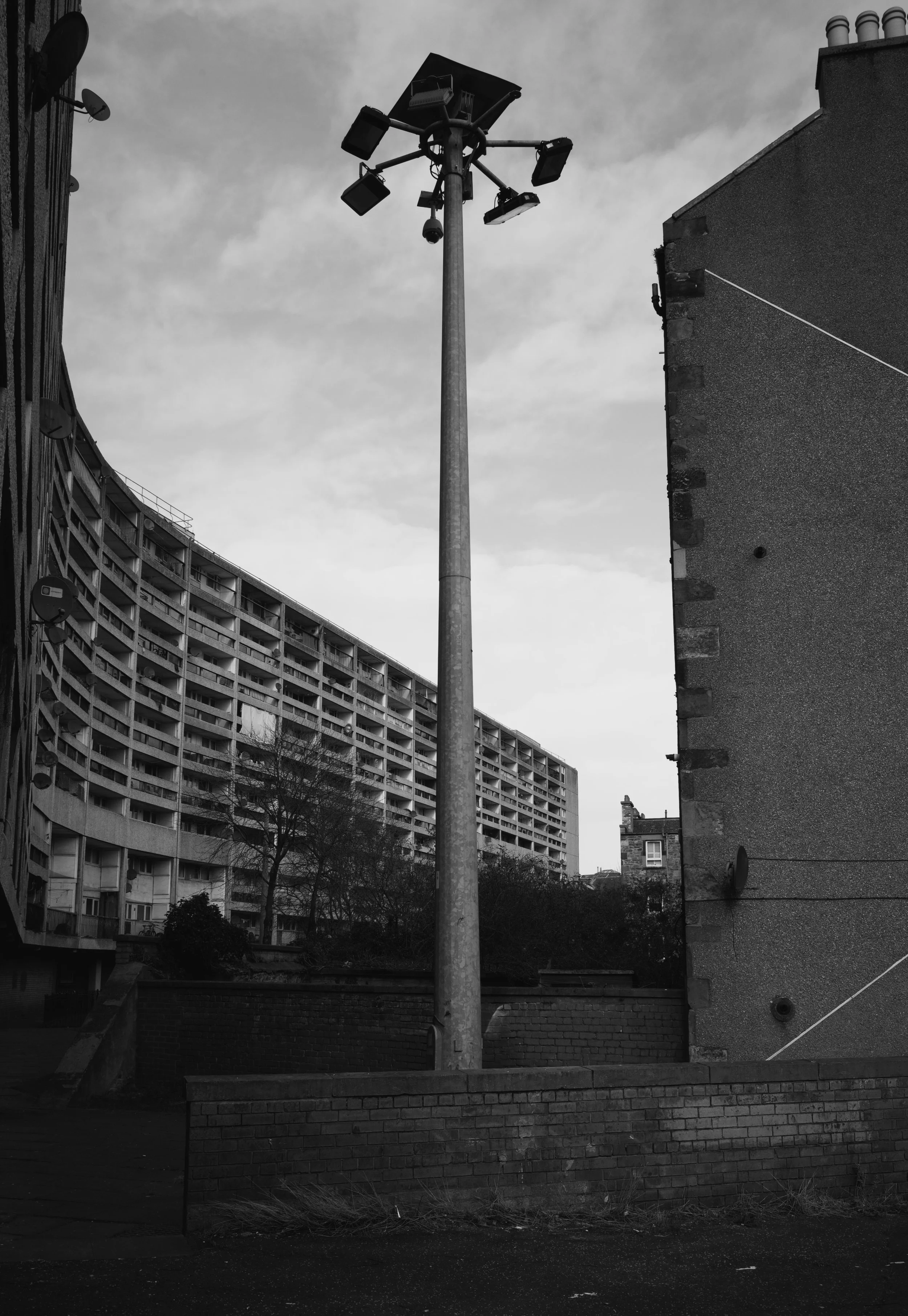L1006229.jpeg
