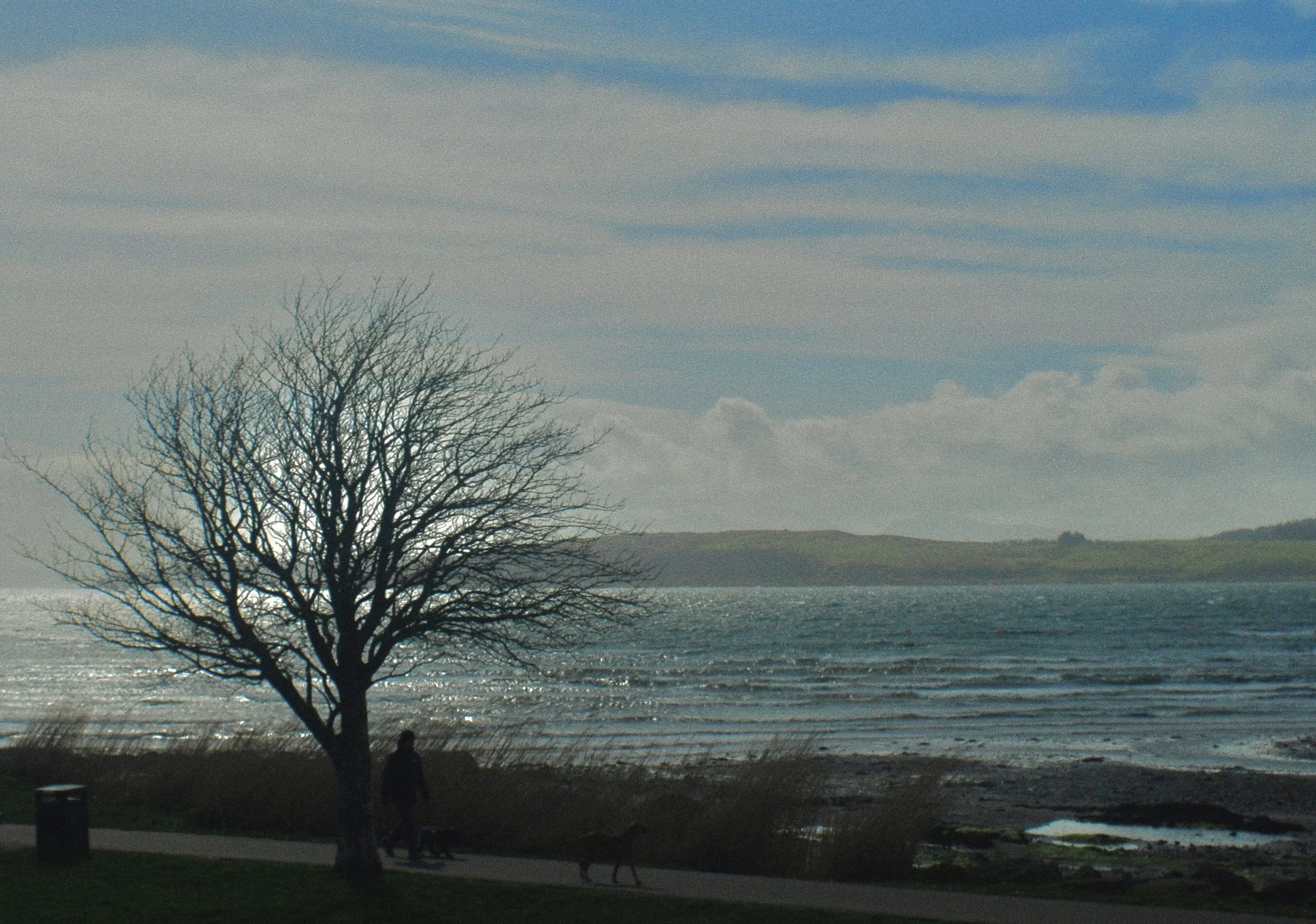 _DSC9848.JPG