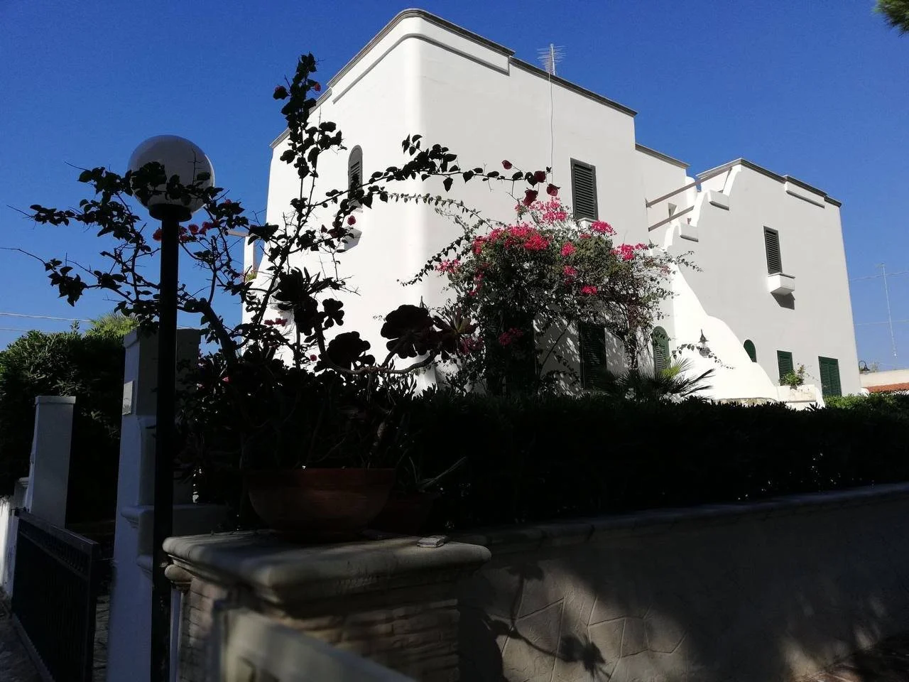 Casa bianca con finestre con persiane verdi, fiori rosa che crescono sulla facciata e alberi con fronde, sotto un cielo azzurro.