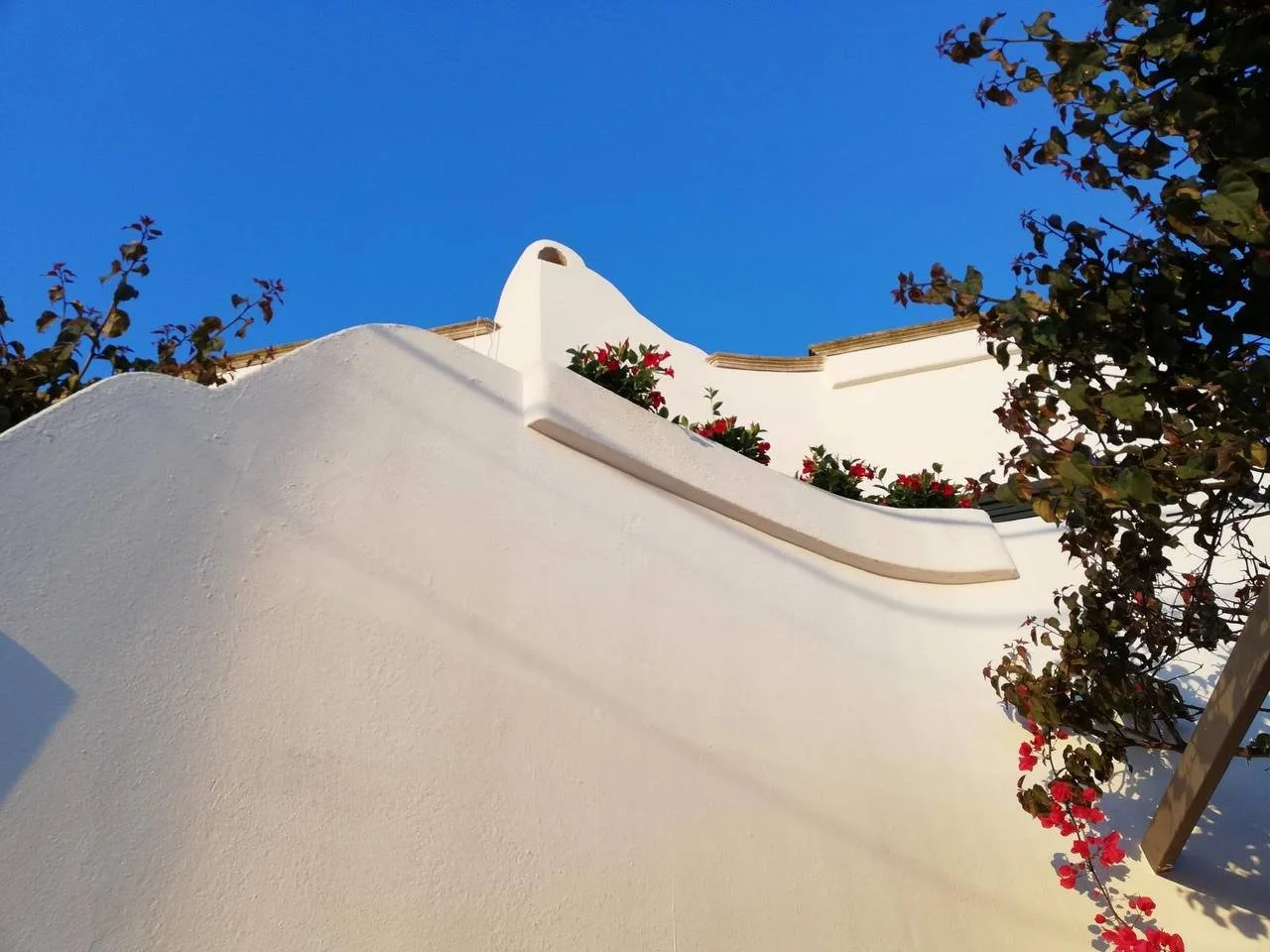 Vista di un edificio bianco con pareti curve sotto un cielo azzurro brillante, con piante con fiori rossi e foglie verdi ai lati.